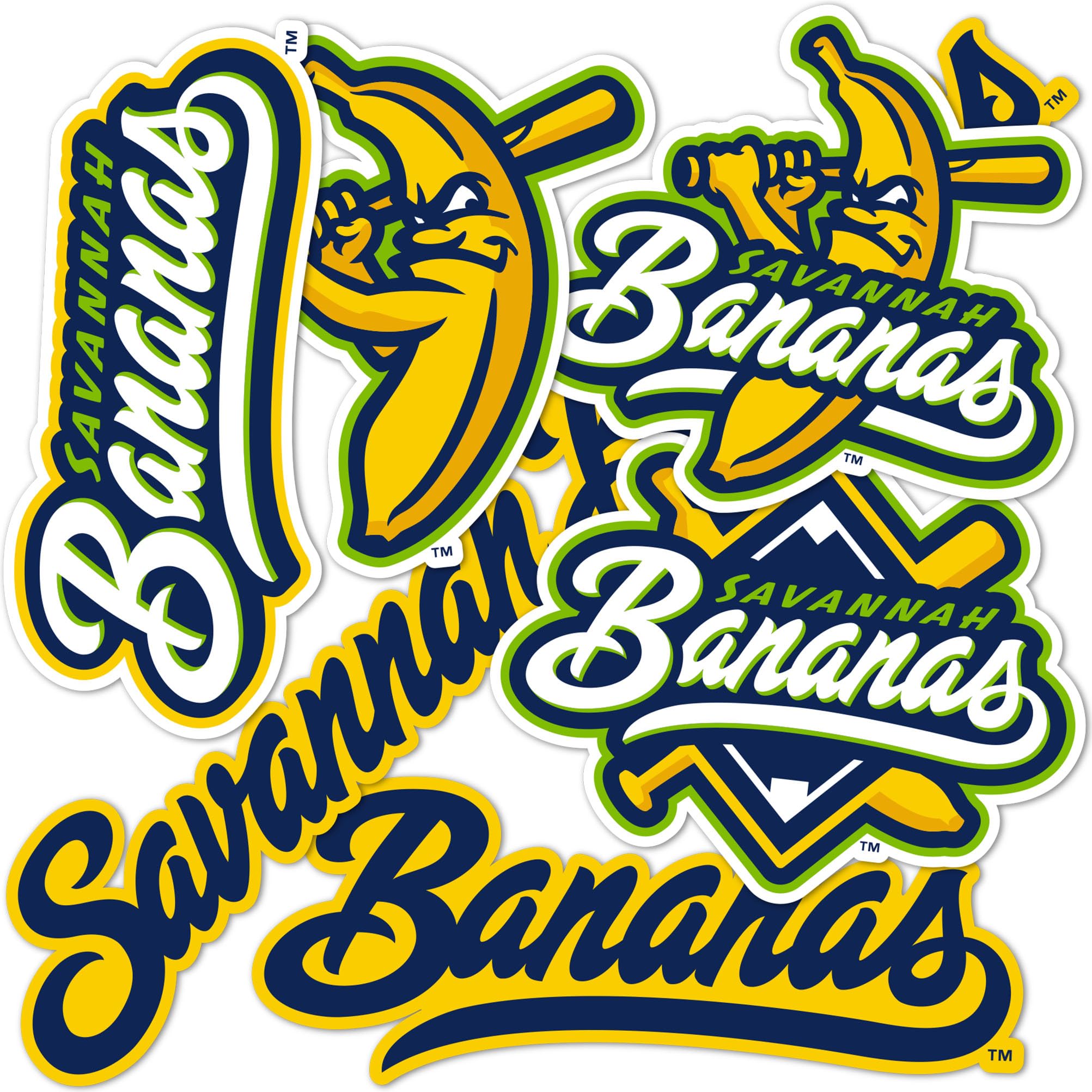Amazon.com: Desert Cactus Savannah Bananas Sticker Decal Vinyl