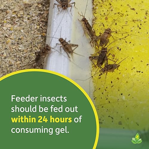 Miniatura 5 de Josh's Frogs Calci-mMm Gel de carga de insectos con calcio (1 galón)