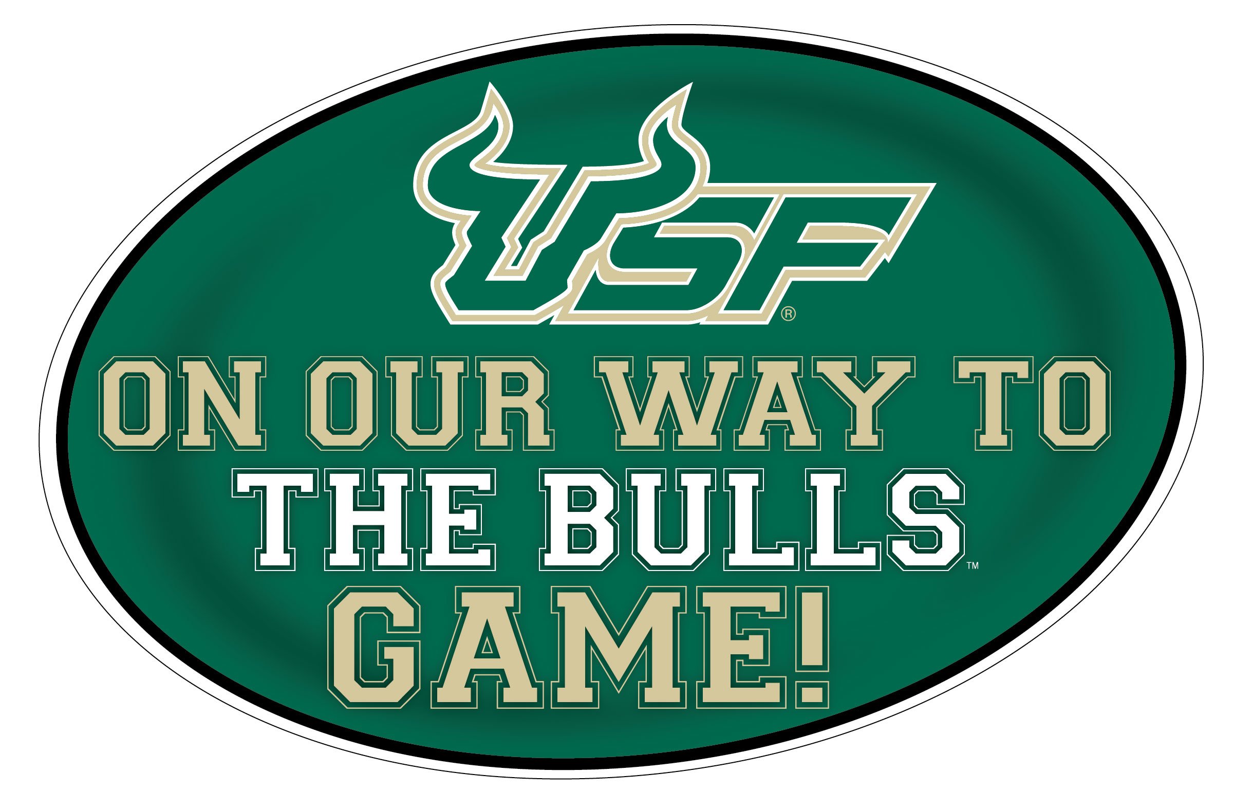 South Florida Bulls Game Day Magnet Set of 2 Officially Licensed Collegiate Product