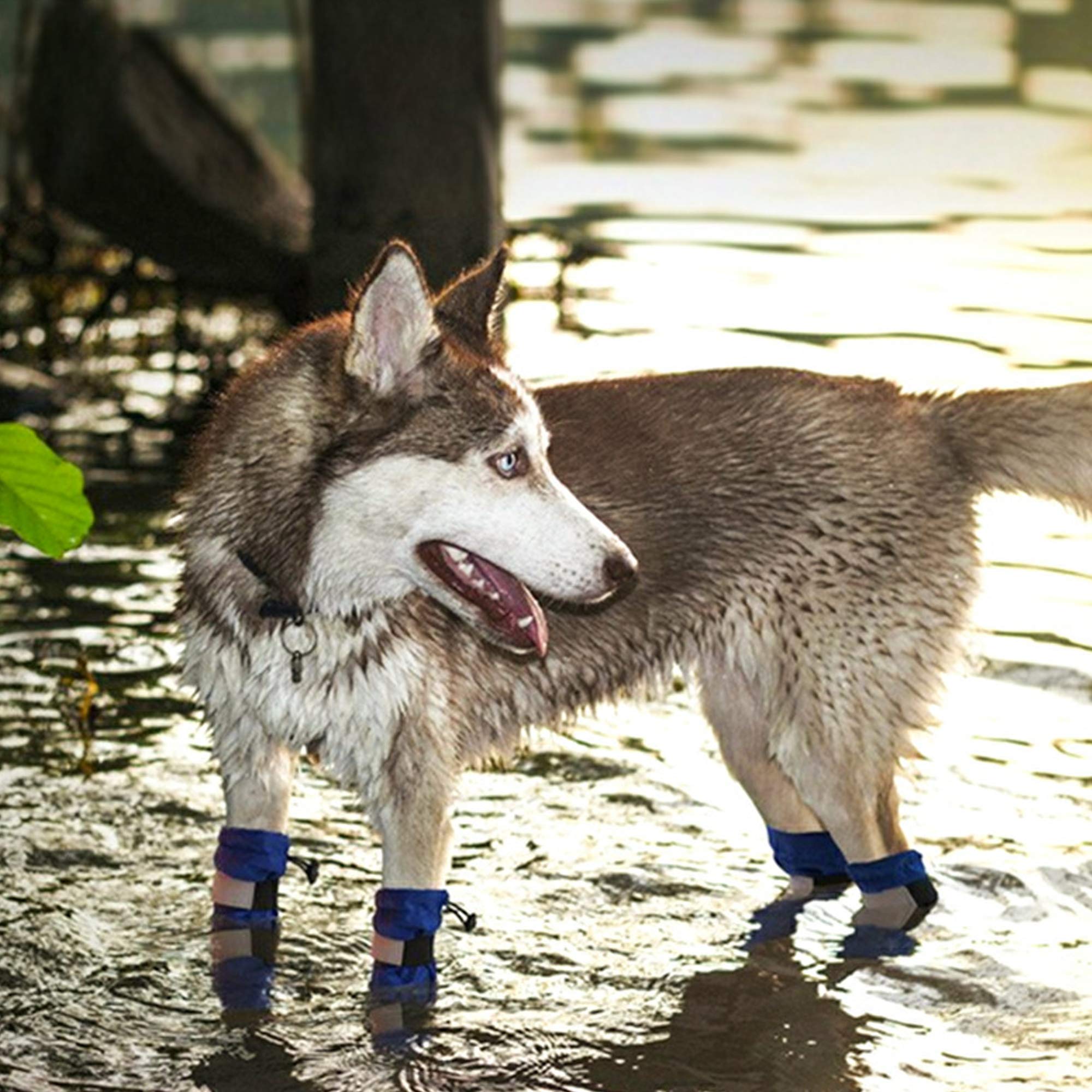 Bottes de Chaussures Imperméables Durables pour Chiens de Taille Moyenne Chaussures d'hiver en Caoutchouc pour Animaux de Compagnie