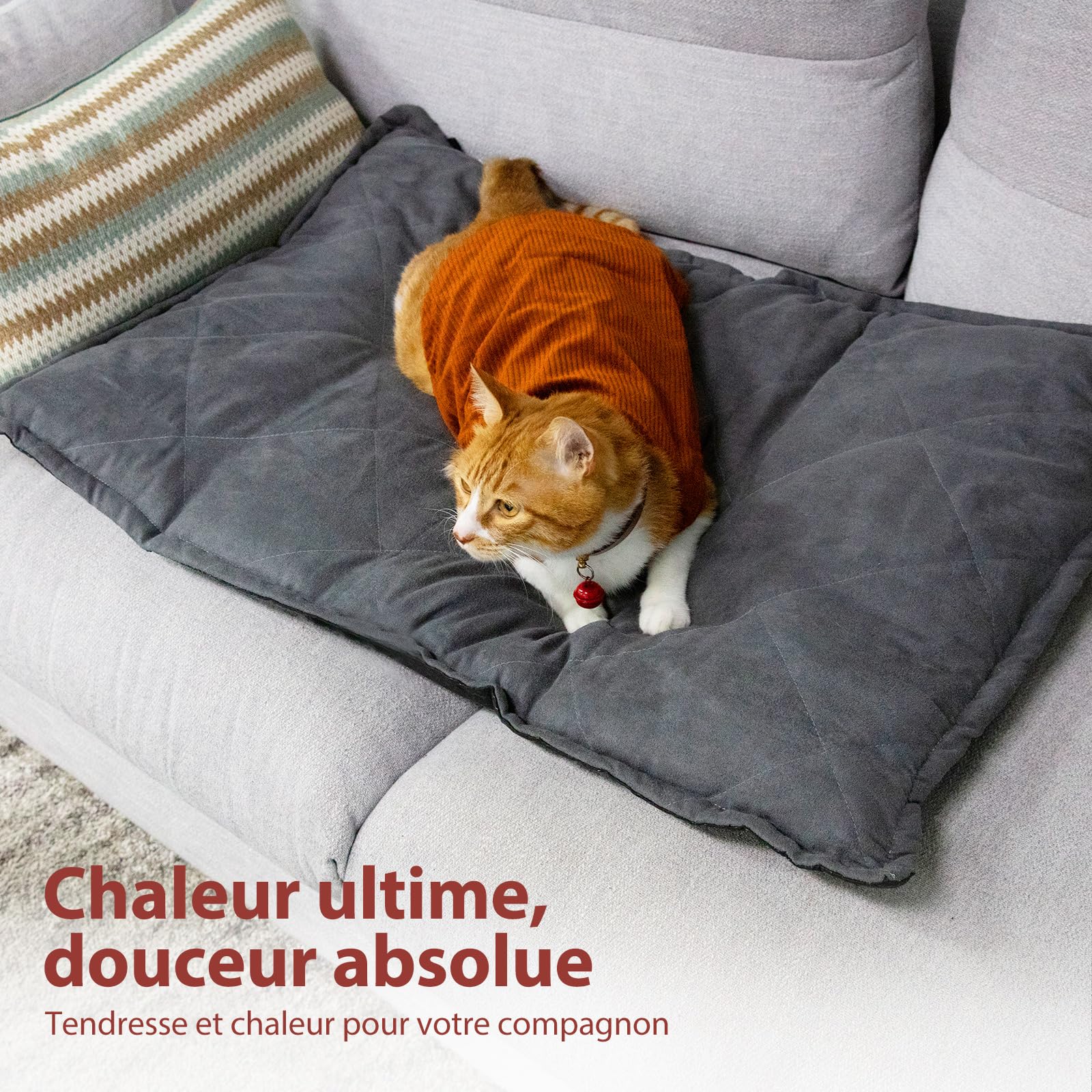 Mora Pets Coussin Auto Chauffant pour Chat et Chiens - Tapis Thermique sans Électricité, Lavable, 60 x 46 cm