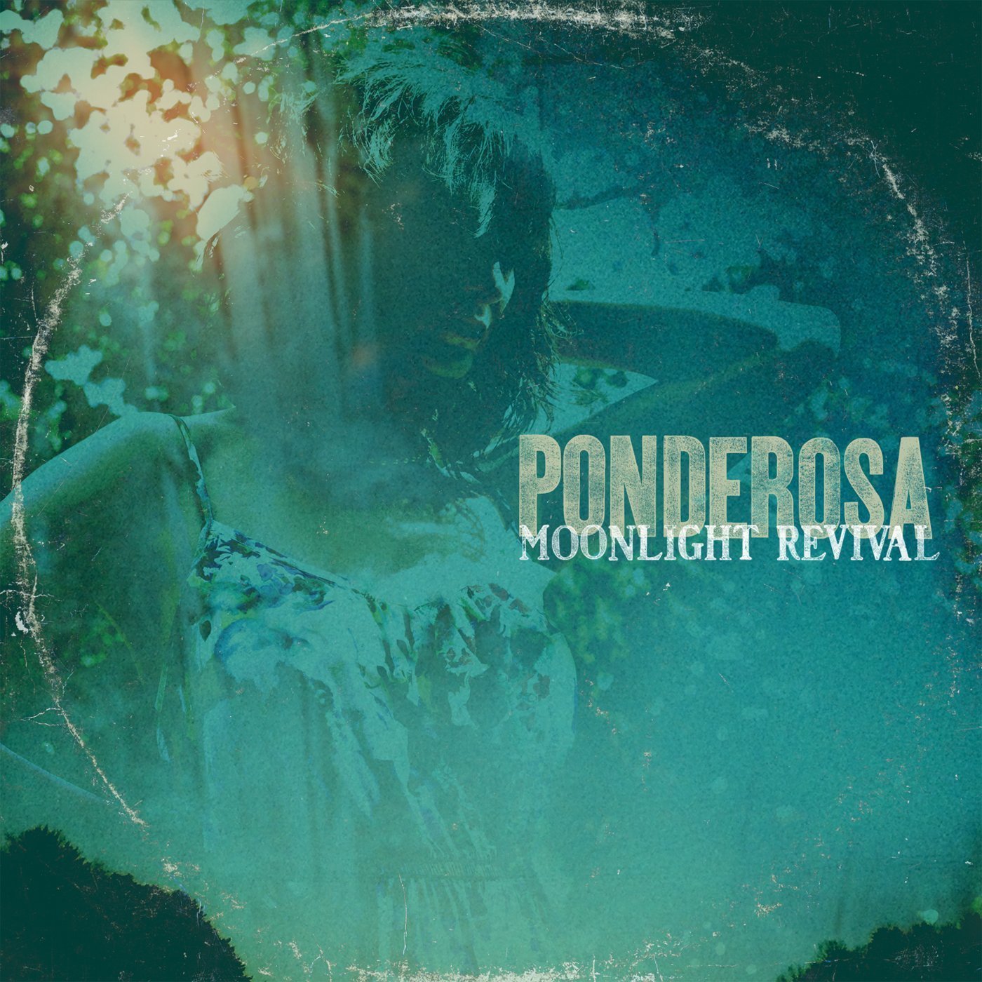 Moonlight Revival [VINYL]