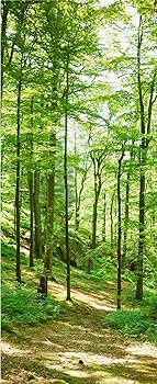 3D Wall Door Sticker Green Forest Path Nature Land... - Grandado