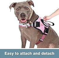 Vista 4 de WINSEE Parches para perros de servicio, parche para arnés para perro de servicio (paquete de 2, S)