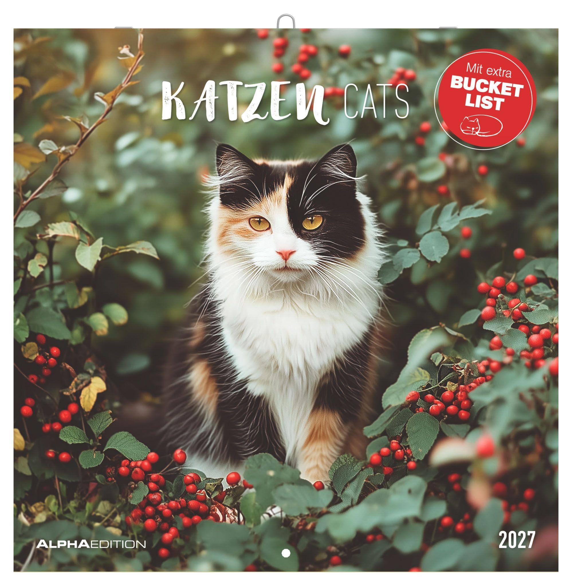 Katzen 2027: Wandkalender 30x30 cm (30x60 cm geöffnet) mit Notizkalendarium, 12 Katzenfotografien und Bucket-List