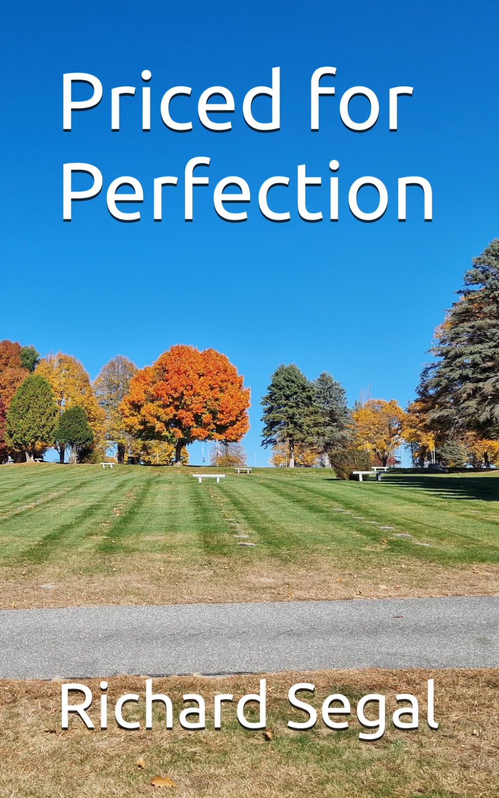 Priced for Perfection