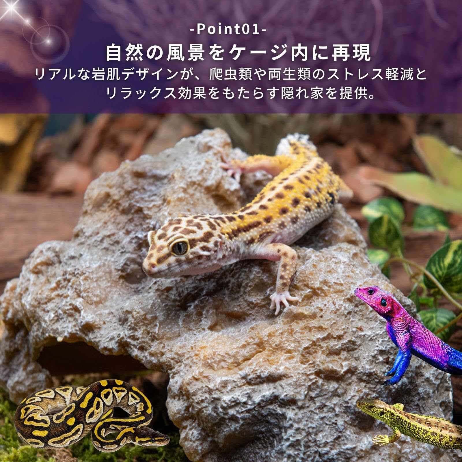 Amazon | Archnote 爬虫類 レオパ シェルター トカゲ カナヘビ 亀