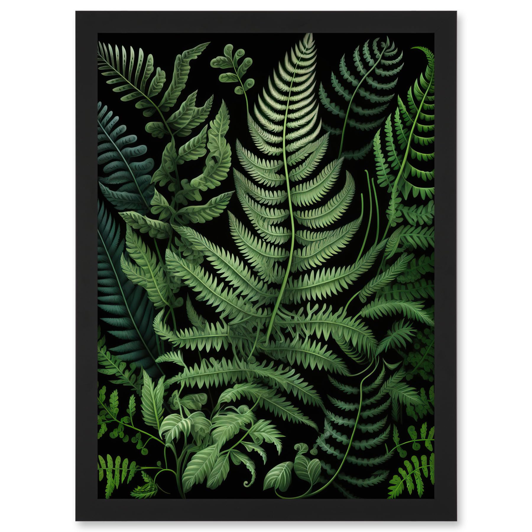 Artery8 Fern Fronds Illustration Ernst Haeckel Style Artwork Framed A3 Wall Art Print