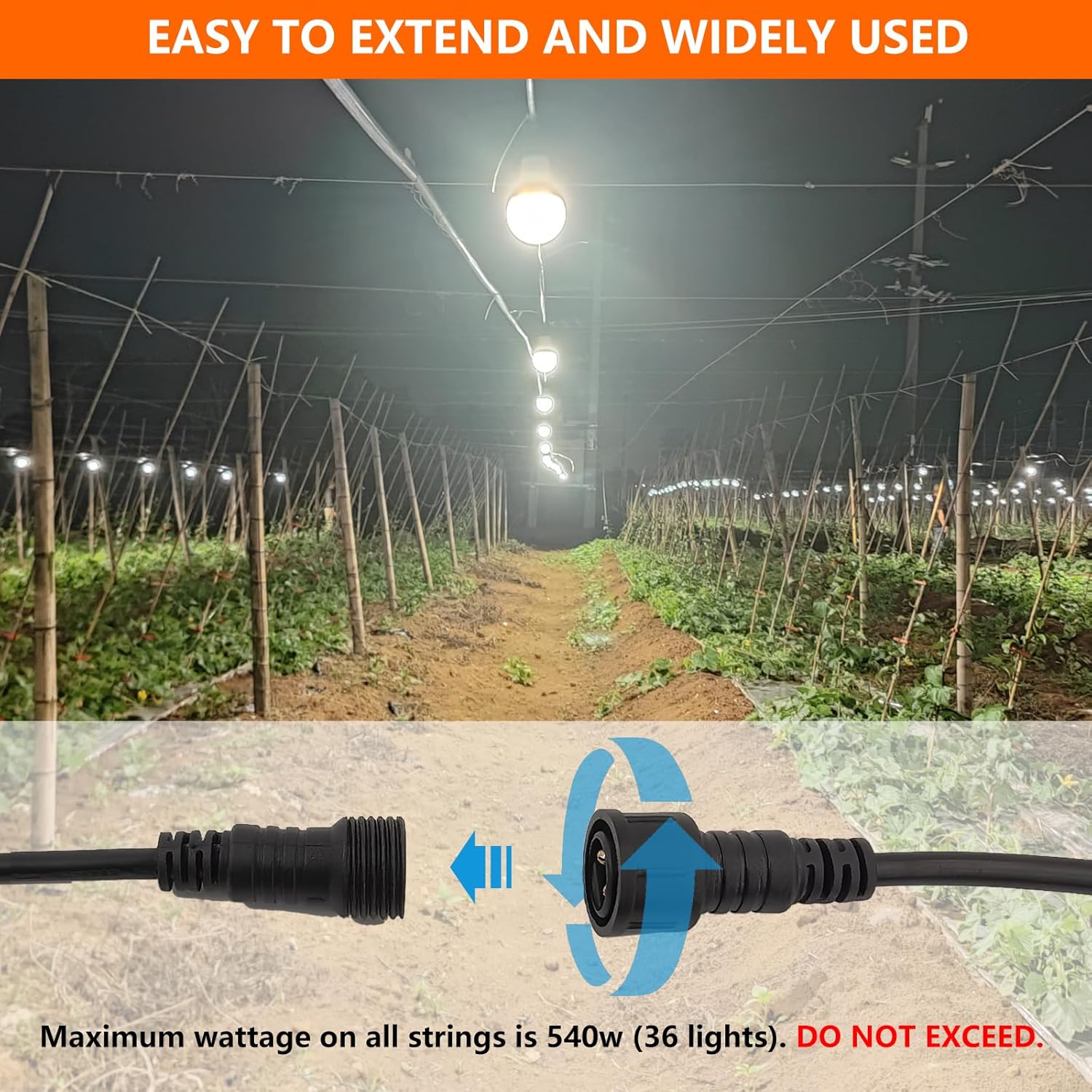 Grow Light Bulbs LED Growth Bulb A25 Full Spectrum String Plant Light Houseplant Growting Lamp Indoor Or Outdoor Waterproof Grow Lights (12 Lights and Cord)