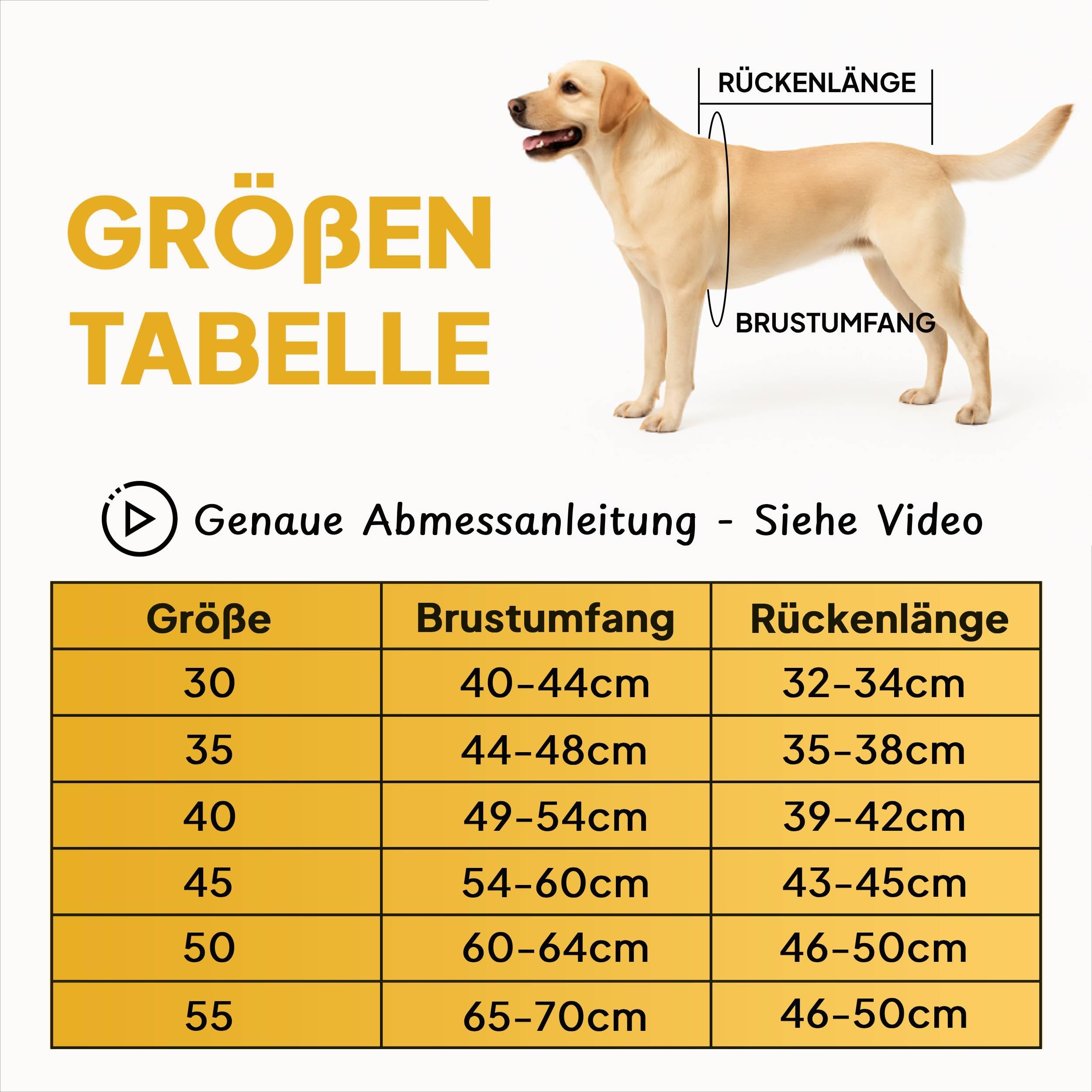 TIERHOOD,Abrigo para perros pequeños y medianos [cálido y resistente al agua],Incluye arnés,Abrigo para perros invierno,Abrigo para perros para exteriores con arnés,Chaqueta de invierno