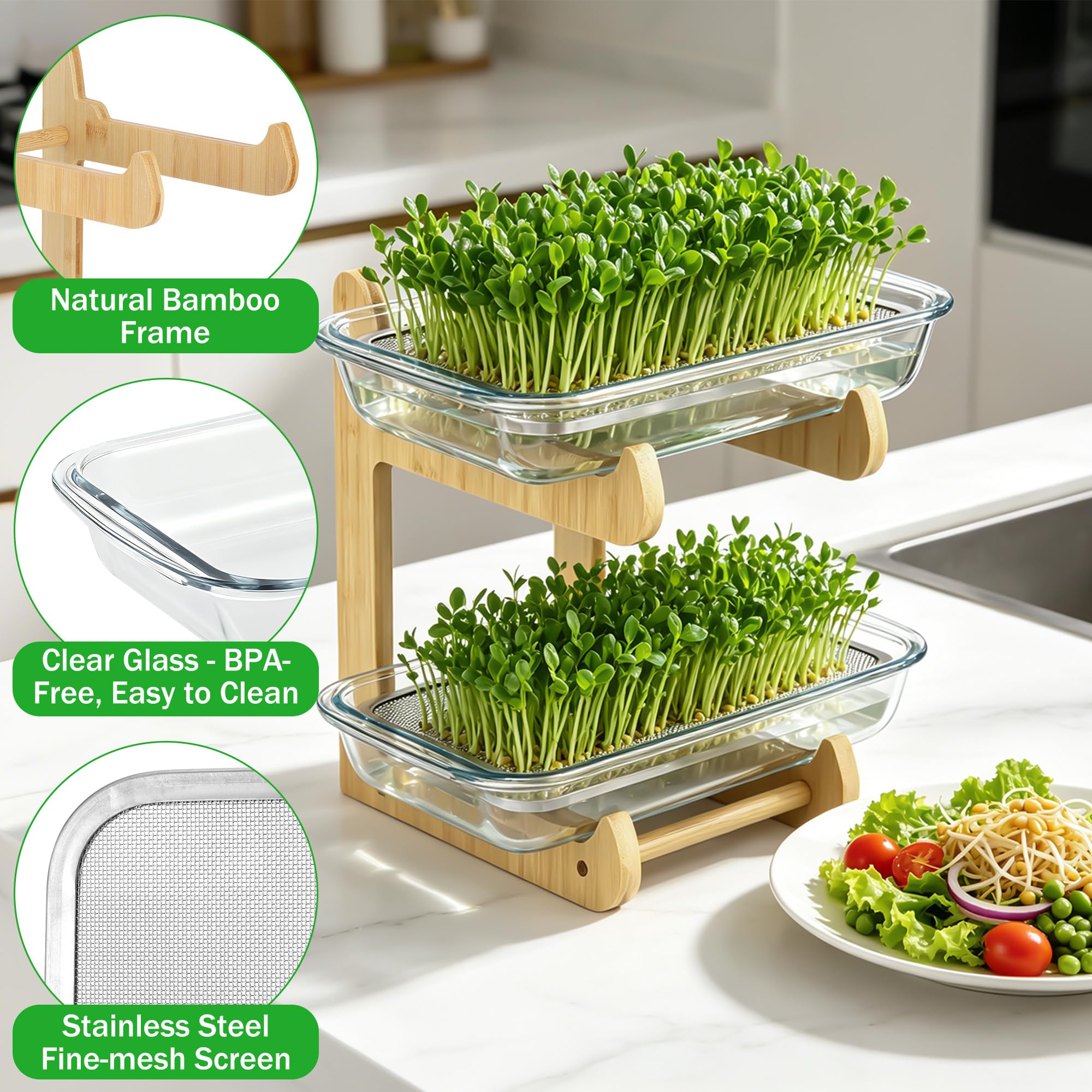Sprossen Anzuchtset, 2 Böden Microgreens Anzuchtset mit 2 Glas Kresse Anzuchtschalen und Bambusständer, Microgreens Starter Set für Kressesamen, Sprossen, Brunnenkresse
