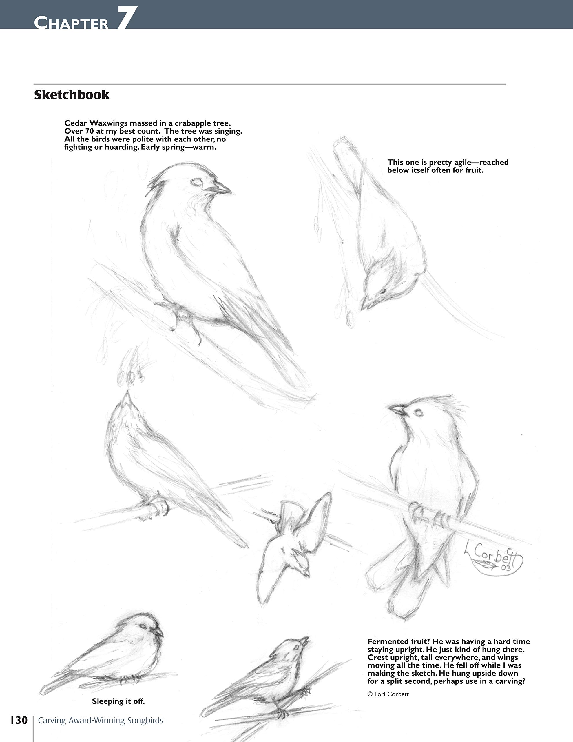 Carving Award-winning Songbirds