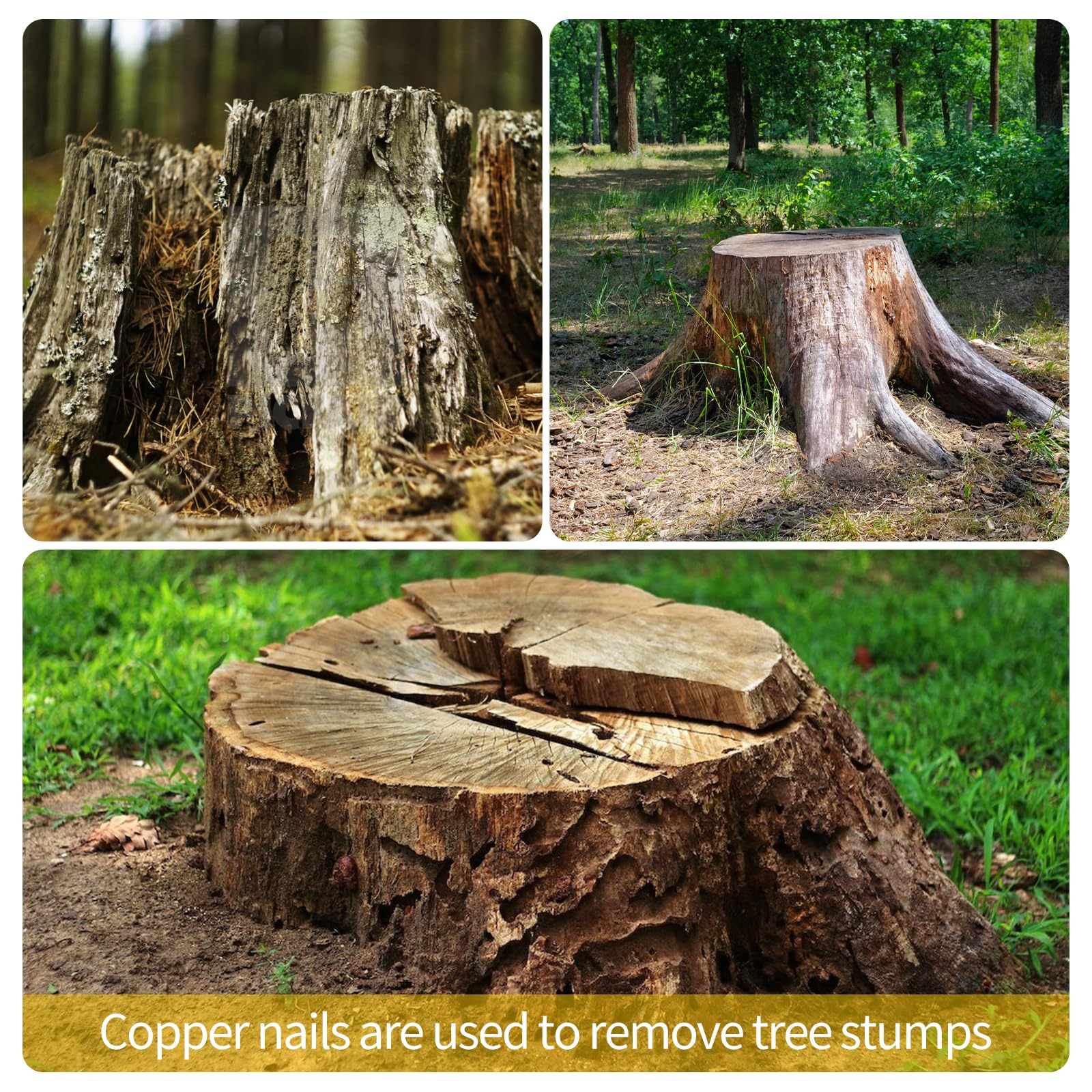 23Pcs Copper Nails Kit, 3.5 Inch Stump Removal Spikes, Hardware Nails with Steel Nails Drill Nails Solid Long Pure Copper Nails, Pure Copper Nails, Stump Removal Tool for Trees Stumps Landscaping