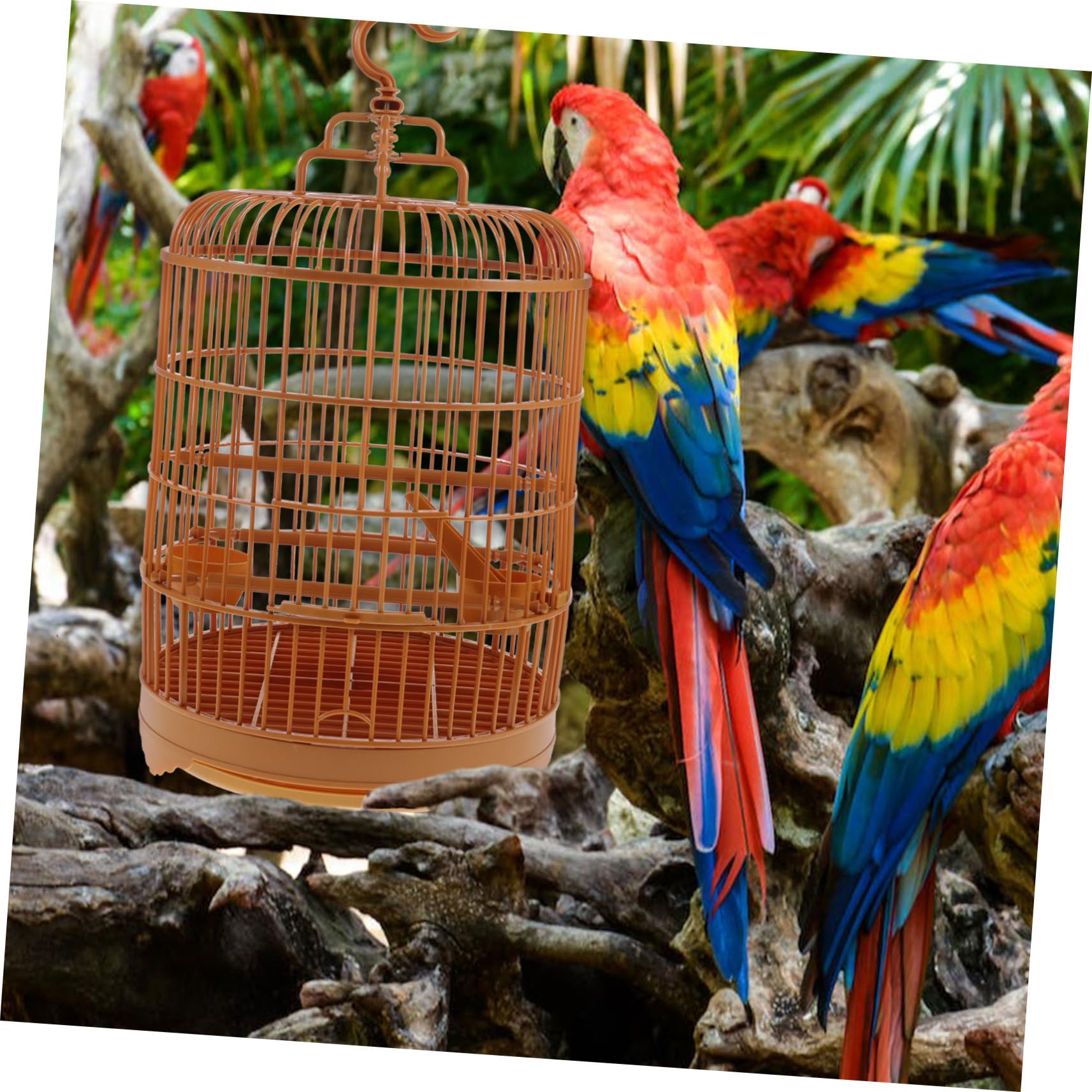 YARNOW Gabbia Per Uccelli in Plastica Rotonda Adatta Calopsitte e Inseparabili Vassoio Rimovibile e Gancio Per Appendere Internamente Ed Esternamente Incluso Di Supporto Per Uccelli Domes