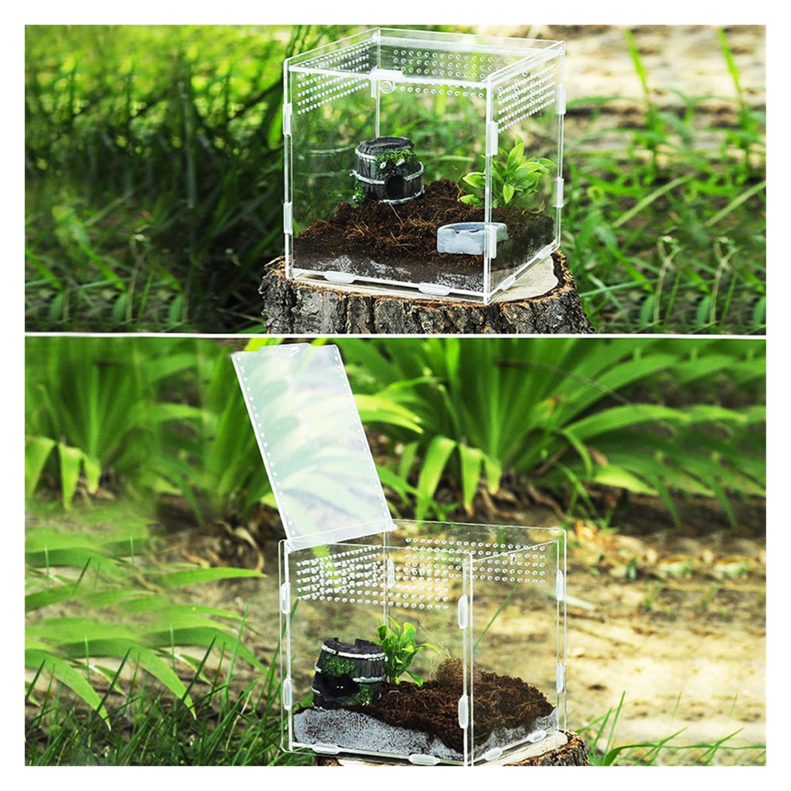 Reptilien-Terrarium, 360 Grad transparente Acryl-Reptilien-Terrarium-Futterbox for Reptilien