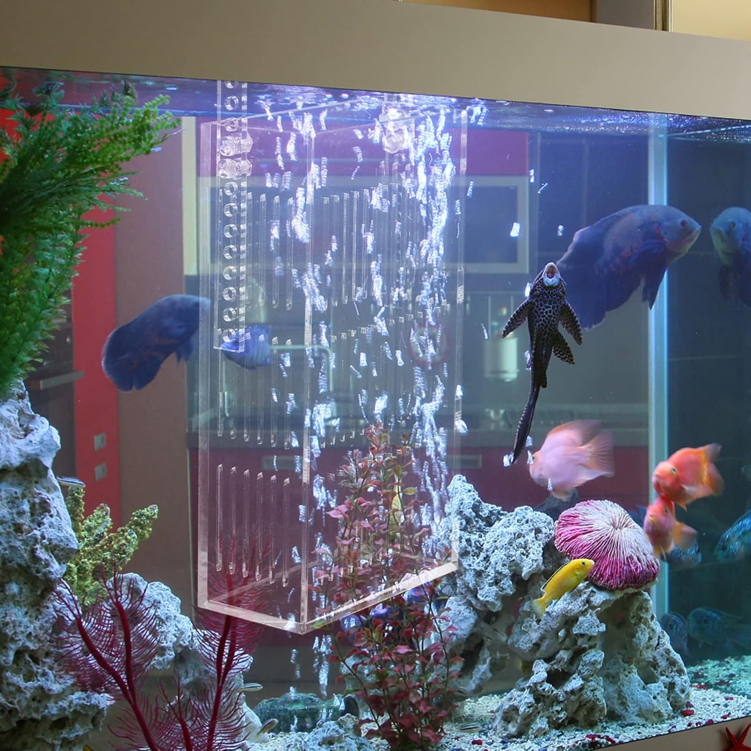 Fish Tank Betta Aquarium Separator Guppy Breeding Box Acrylic Fish Incubator Hanging Divider Net Accessory