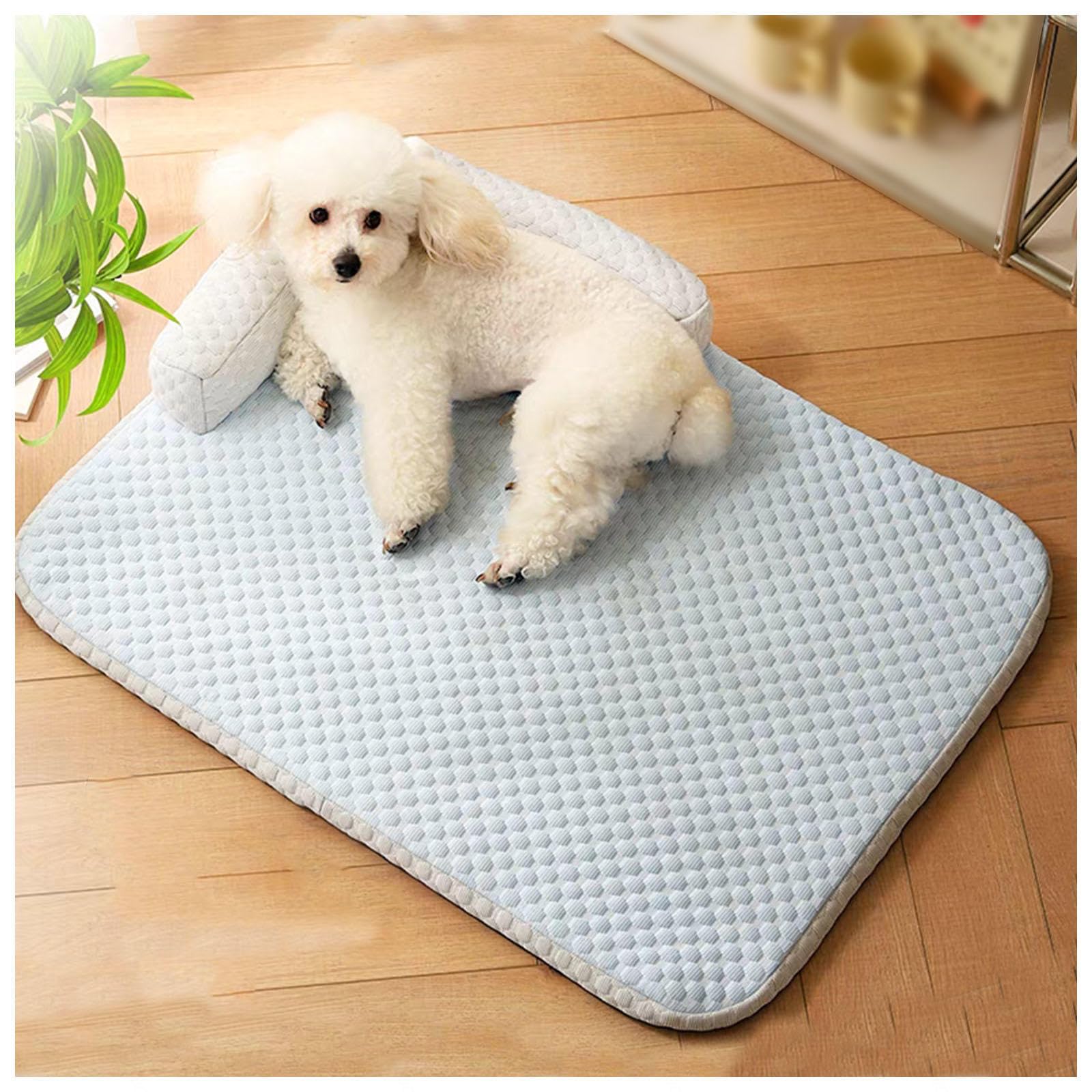 Cuccia Cane Estiva Sfoderabile E Lavabile, Letto per Cani con Lati Rialzati Tappetino Refrigerante per Gatto per L'Estate per Il Raffreddamento degli Animali,Blue-XL