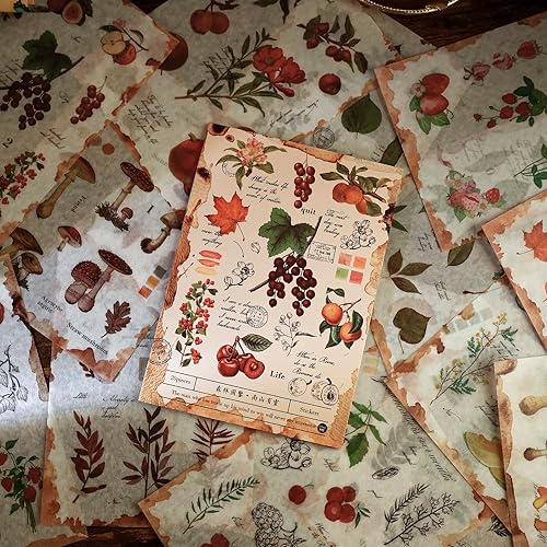 Miniatura 9 de Dizdkizd Calcomanías botánicas para álbumes de recortes, 760 calcomanías de vegetación Washi para adultos, libro de calcomanías de naturaleza
