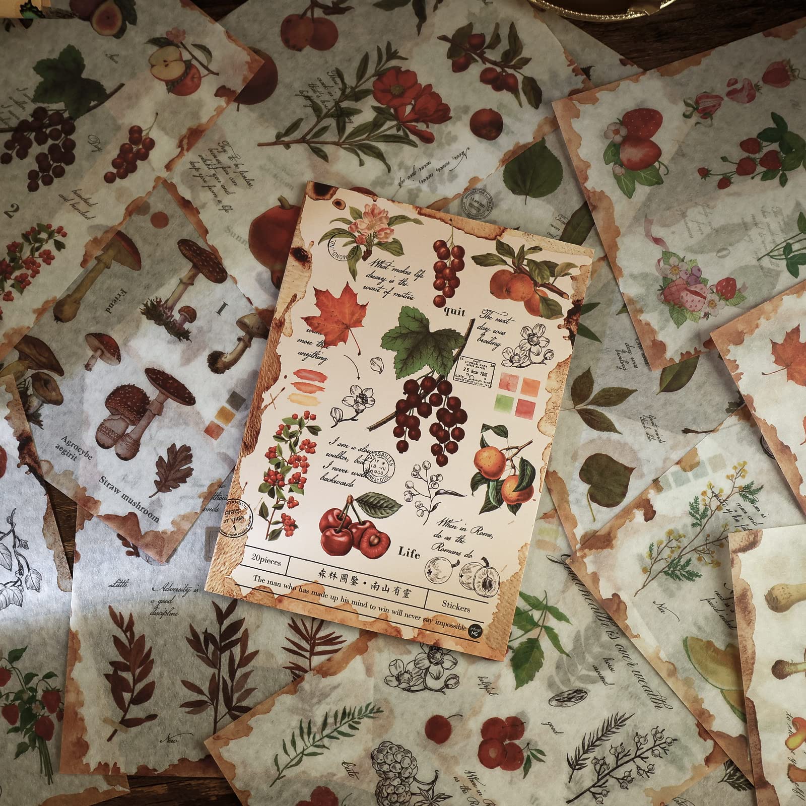 Dizdkizd Washi Nature książka z naklejkami do scrapbookingu, liść i owoce