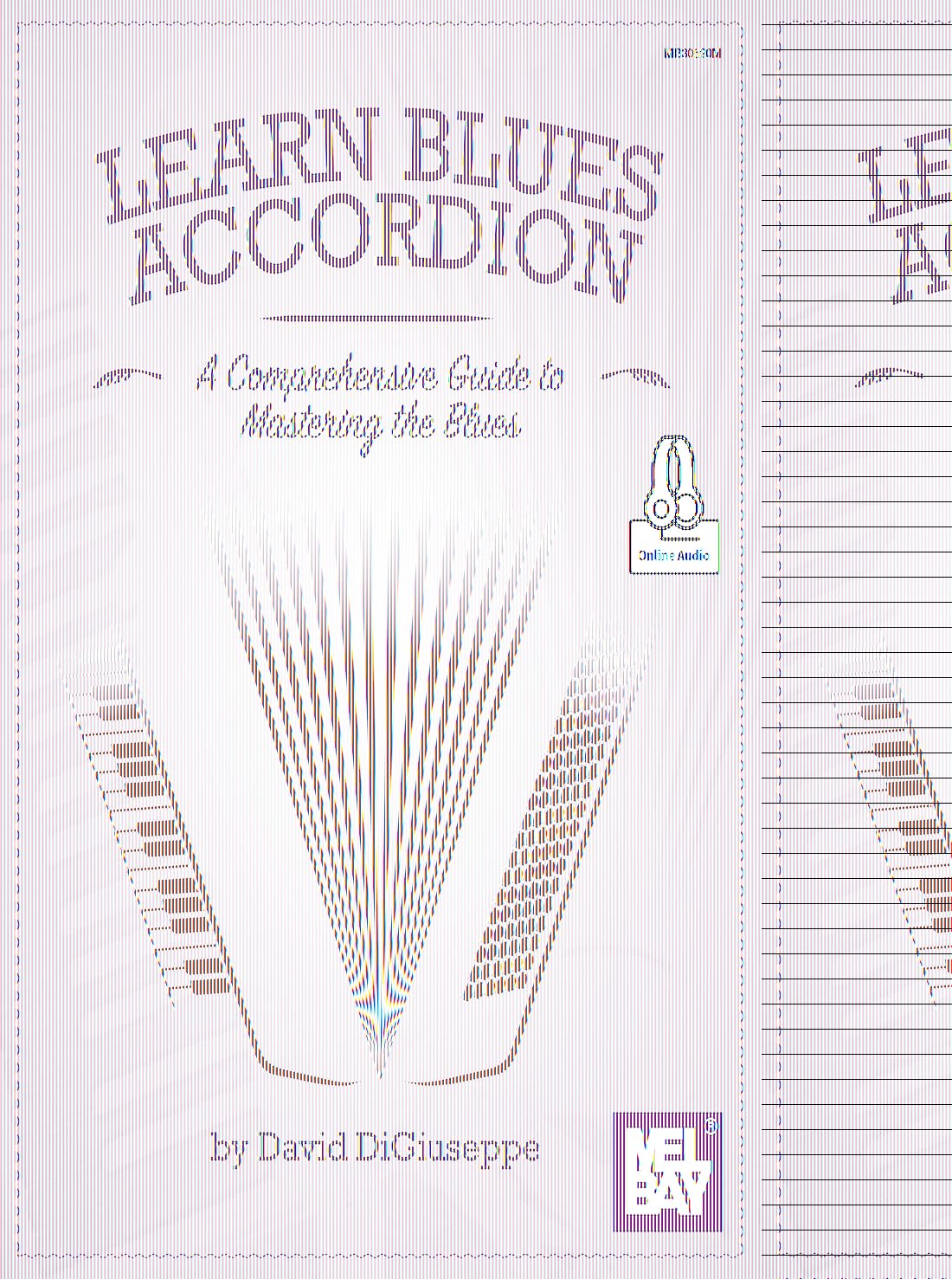 Learn Blues Accordion A Comprehensive Guide to Mastering the Blues: A Comprehensive Guide to Mastering the Blues Paperback – 10 Oct. 2016