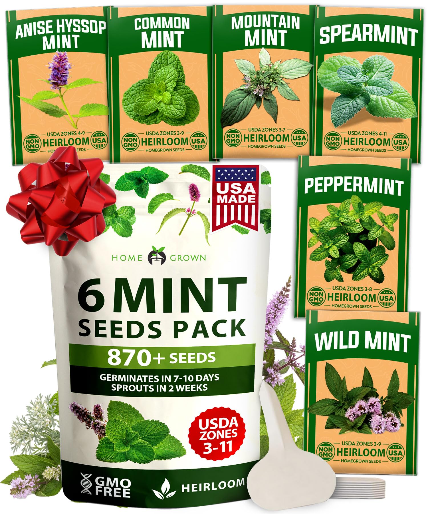 HOME GROWN Mint Seeds Variety Pack - 870+ Heirloom Non-GMO USA Peppermint, Spearmint & More - Herb Seeds for Planting Indoor Outdoor Garden - Fresh Mint for Tea & Cooking