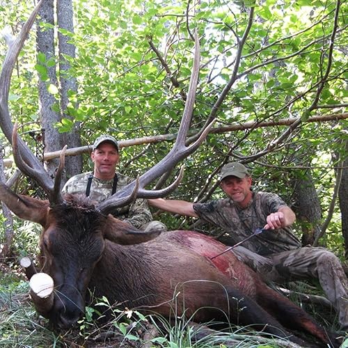 Miniatura 9 de EAmber Guantes de caza de camuflaje con dedos completosguantes sin dedos Pro antideslizantes guantes de camuflaje accesorios de tiro con arco caza