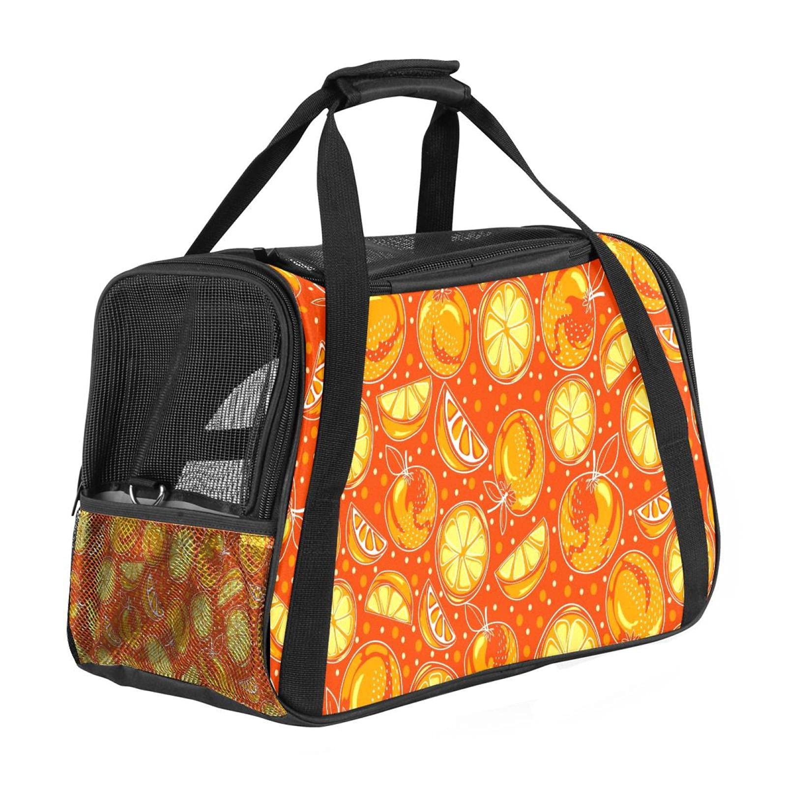 Sac de transport pour chat et chien en cabine avion pour vacances au soleil
