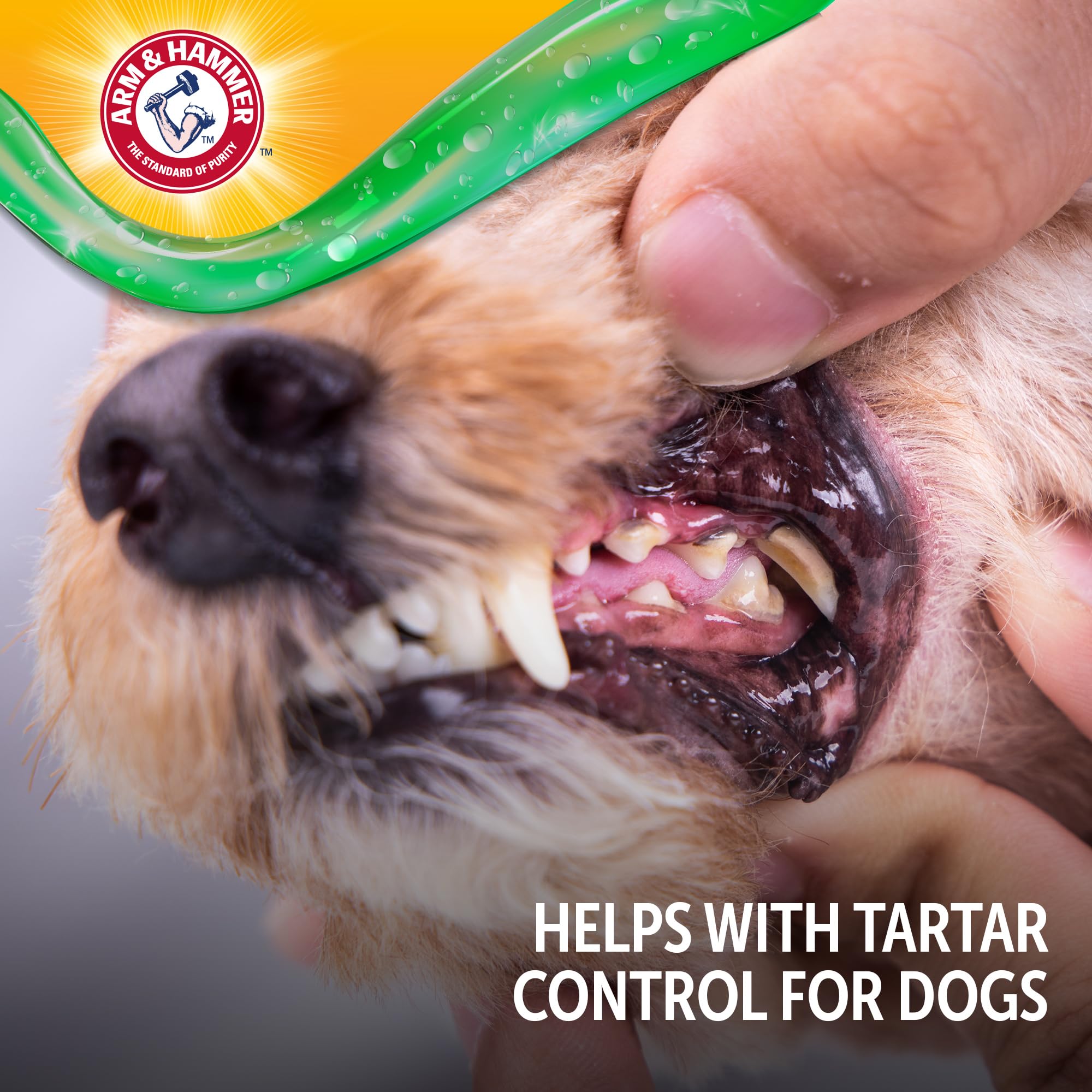 Arm & Hammer Complete Care Dental Gel, Gel-Style Dog Toothpaste - Fresh Breath, Tartar Control, Gentle on Enamel, Fluoride Free - Baking Soda Enhanced Dental Dog Supplies, Chicken Flavor, 2.5oz - image 7