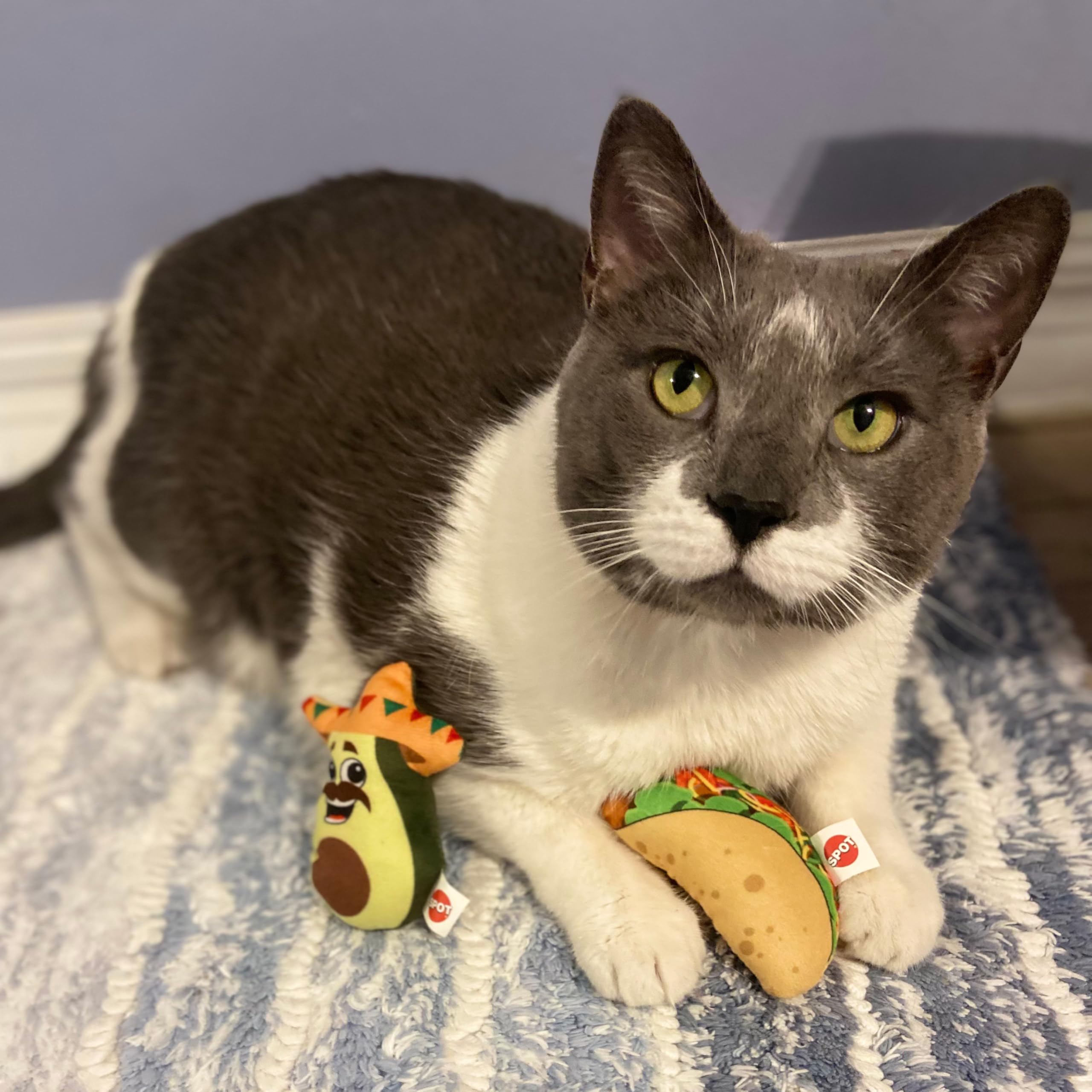 Smartykat Certified Organic Catnip 1 Ounce Pouch-