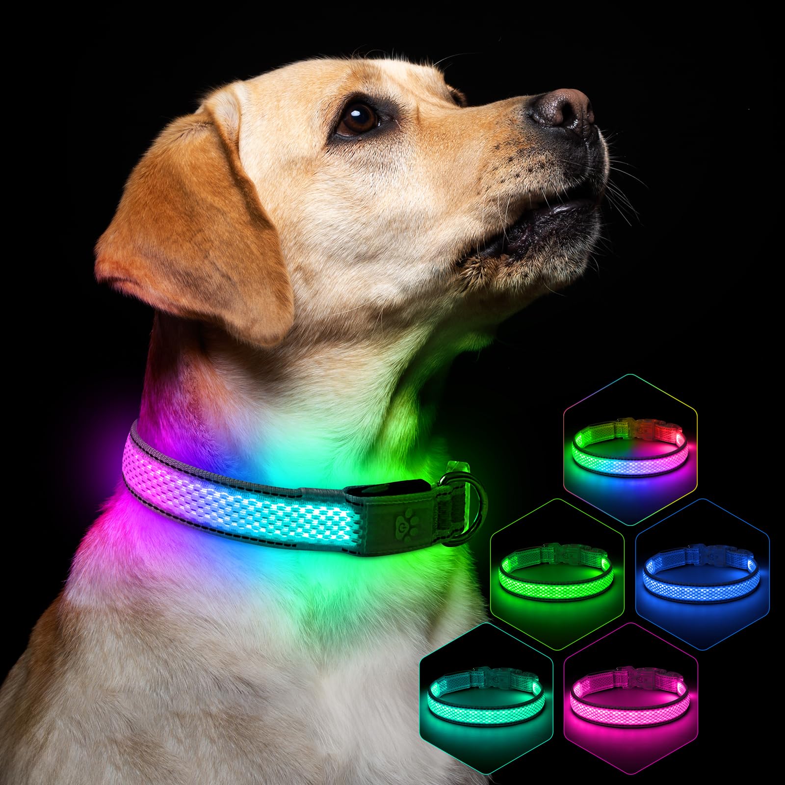 Light up Dog Collar, Multi-Color LED Dog Collar RGB 9-Mode,USB Rechargable