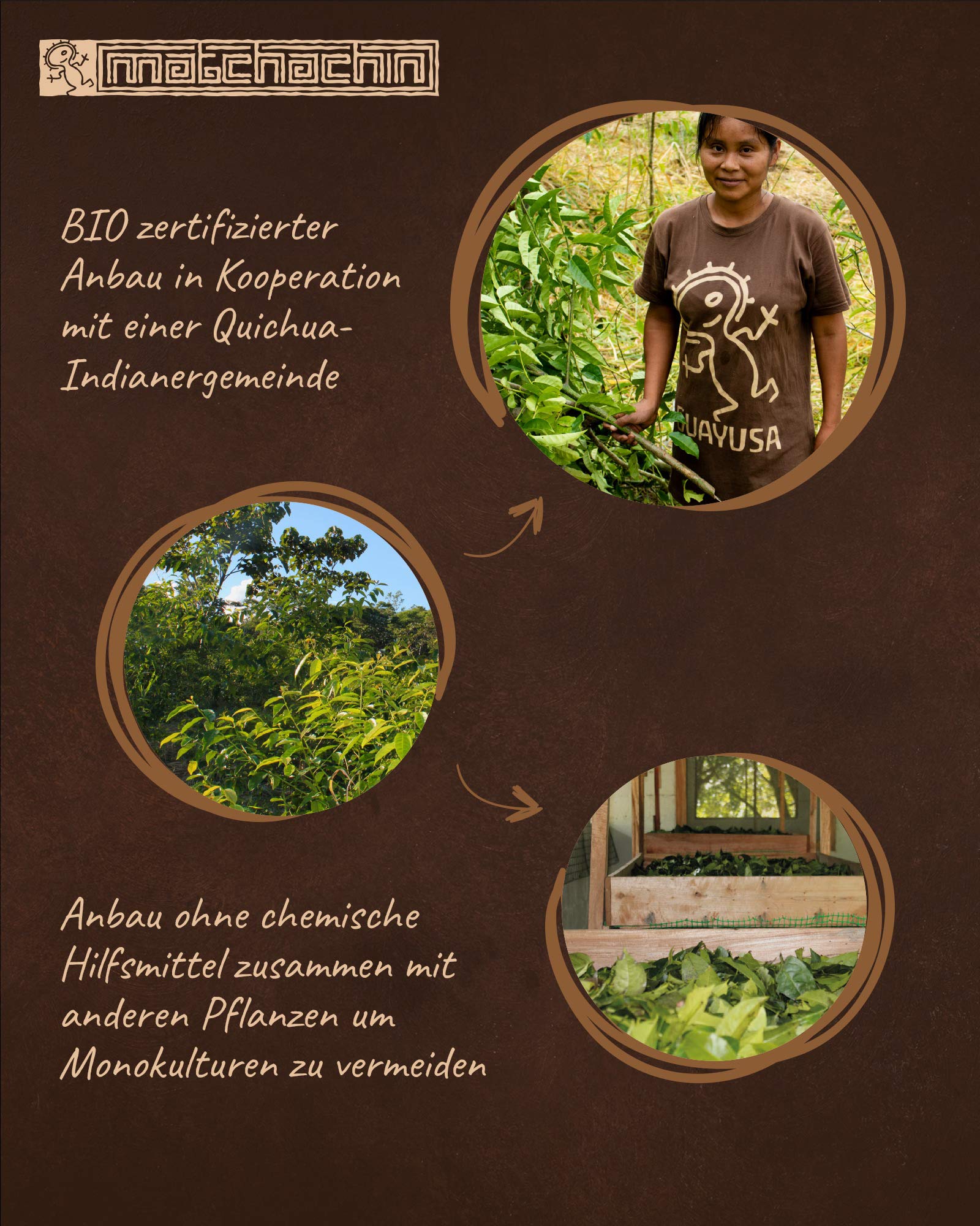 320 g BIGPACK Guayusa Energytee Bio firmy Matchachin – oryginał, z dużą ilością kofeiny z lasu deszczowego Amazonii