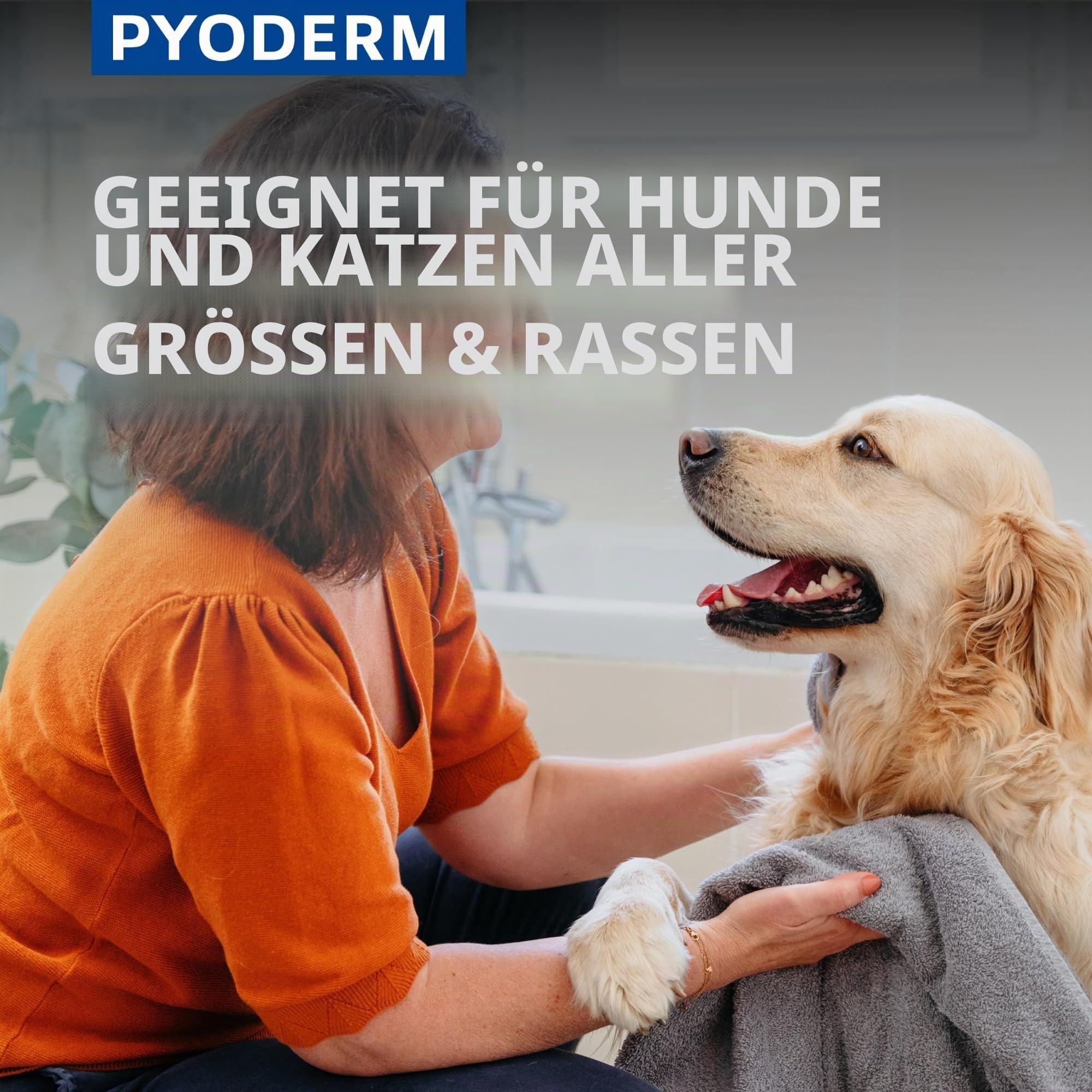 SHAMPOING PYODERM GLYCOTEC Chien & Chat 250 ml