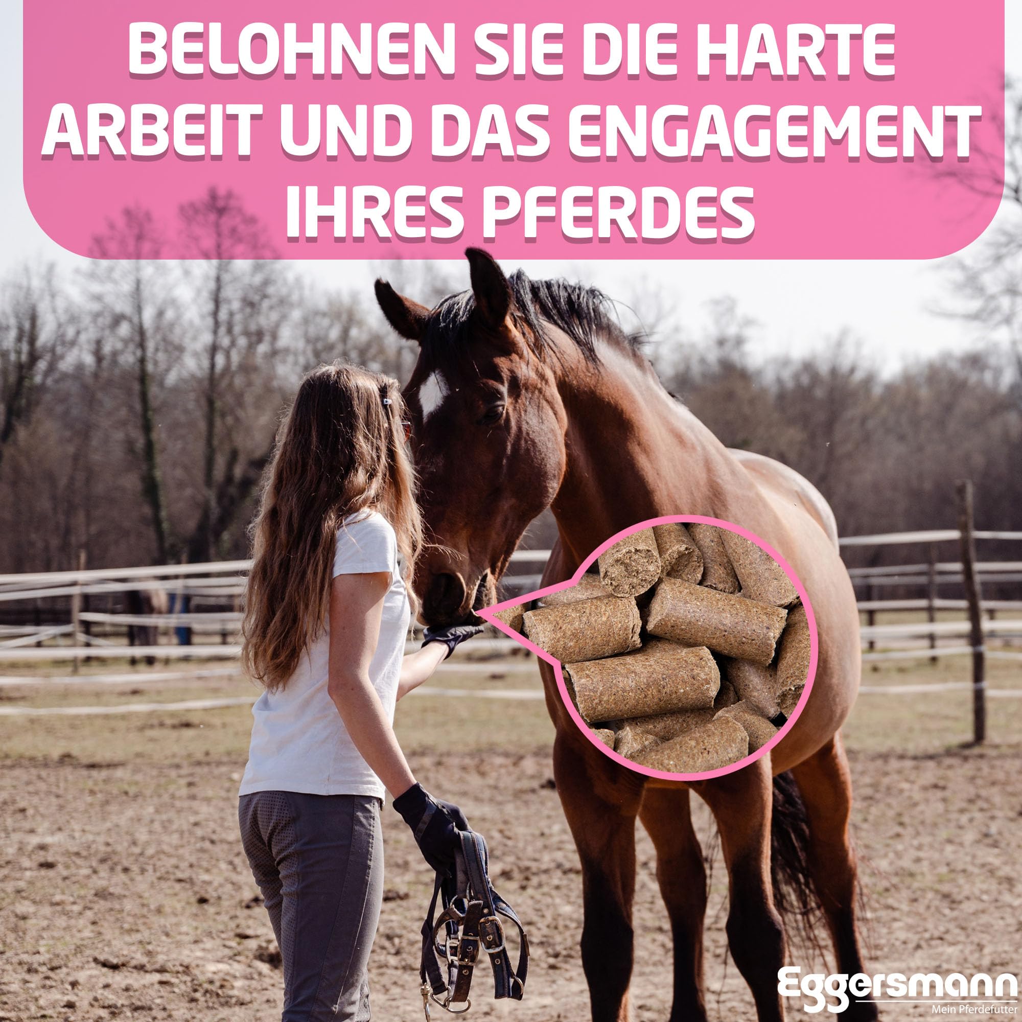 Eggersmann Mein Pferdefutter Eggers Muñeco Sabroso Bricks Frambuesa (Recompensa futte…