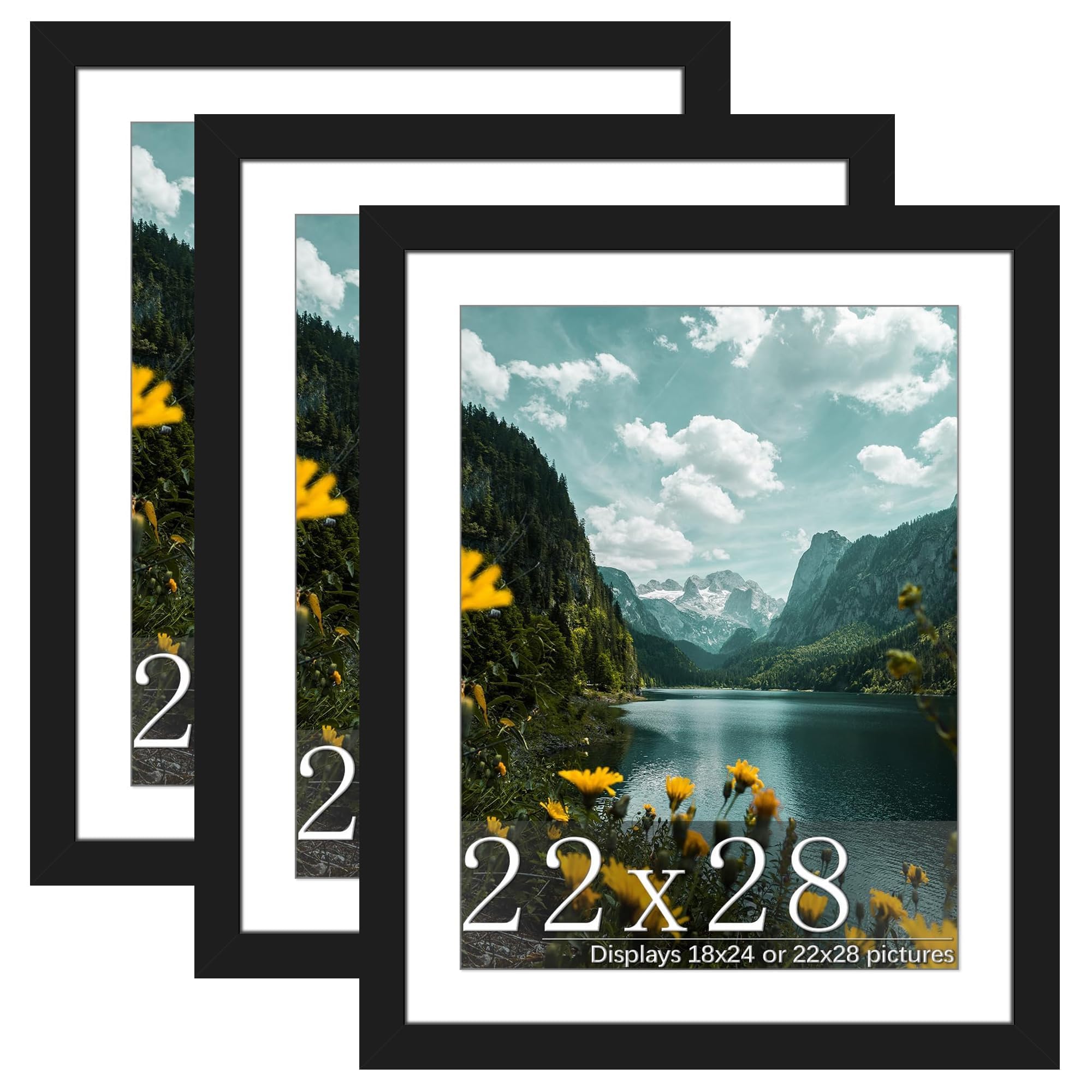 Picrit 22x28 Black Poster Frame, Picture Frame for Wall, 3 Pack