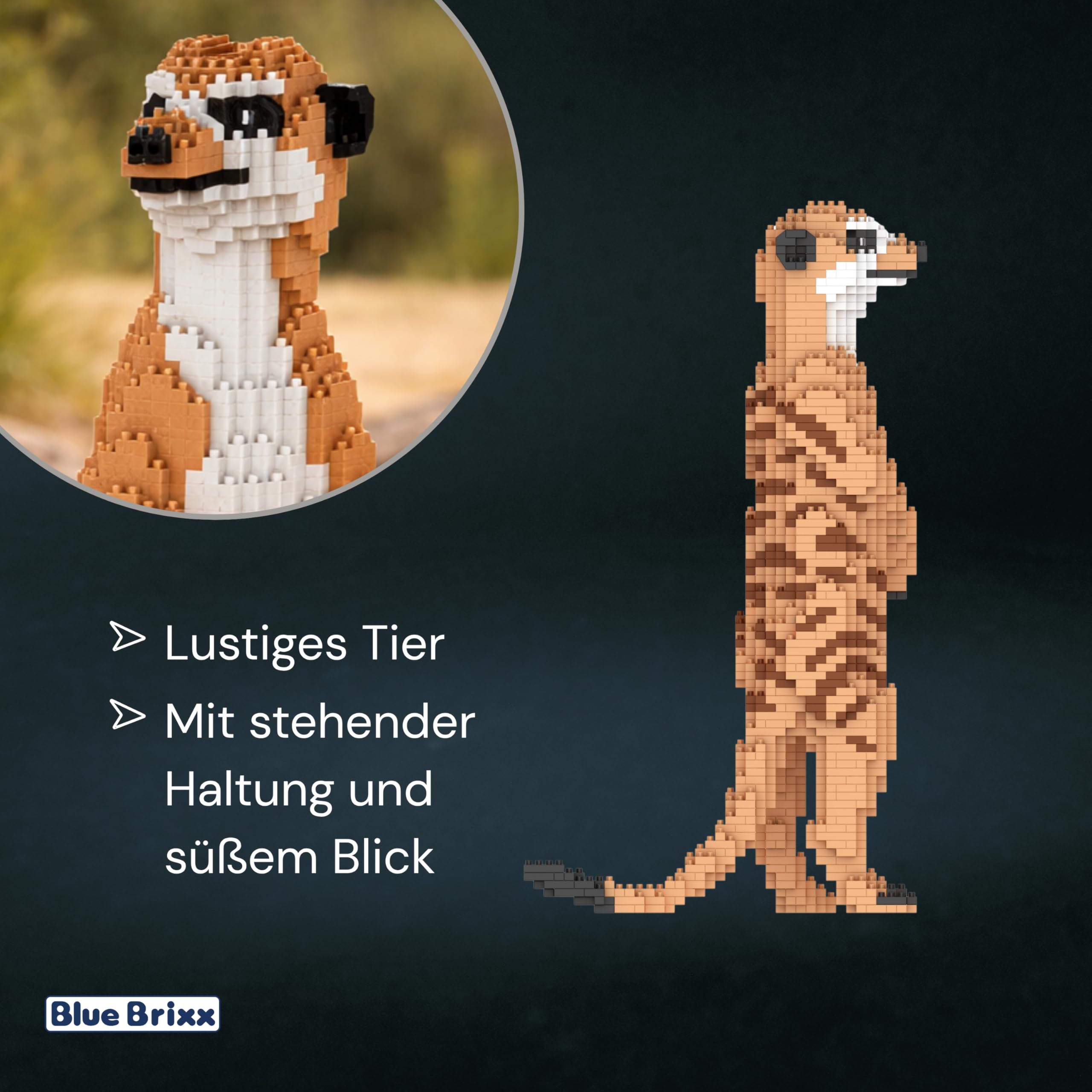 BlueBrixx Pro 107664 – Erdmännchen (Diamond Blocks) aus Klemmbausteinen mit 1645 Bauelementen