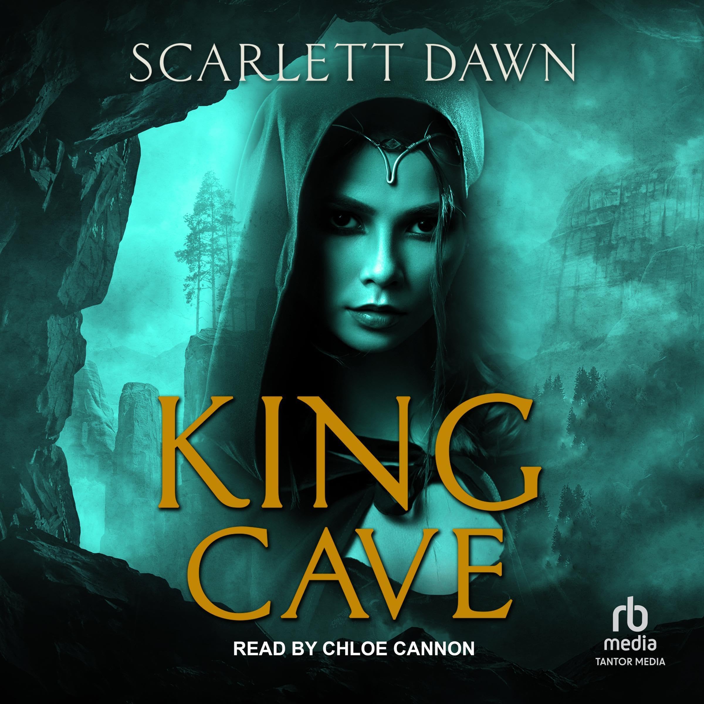 Cover art for King Cave