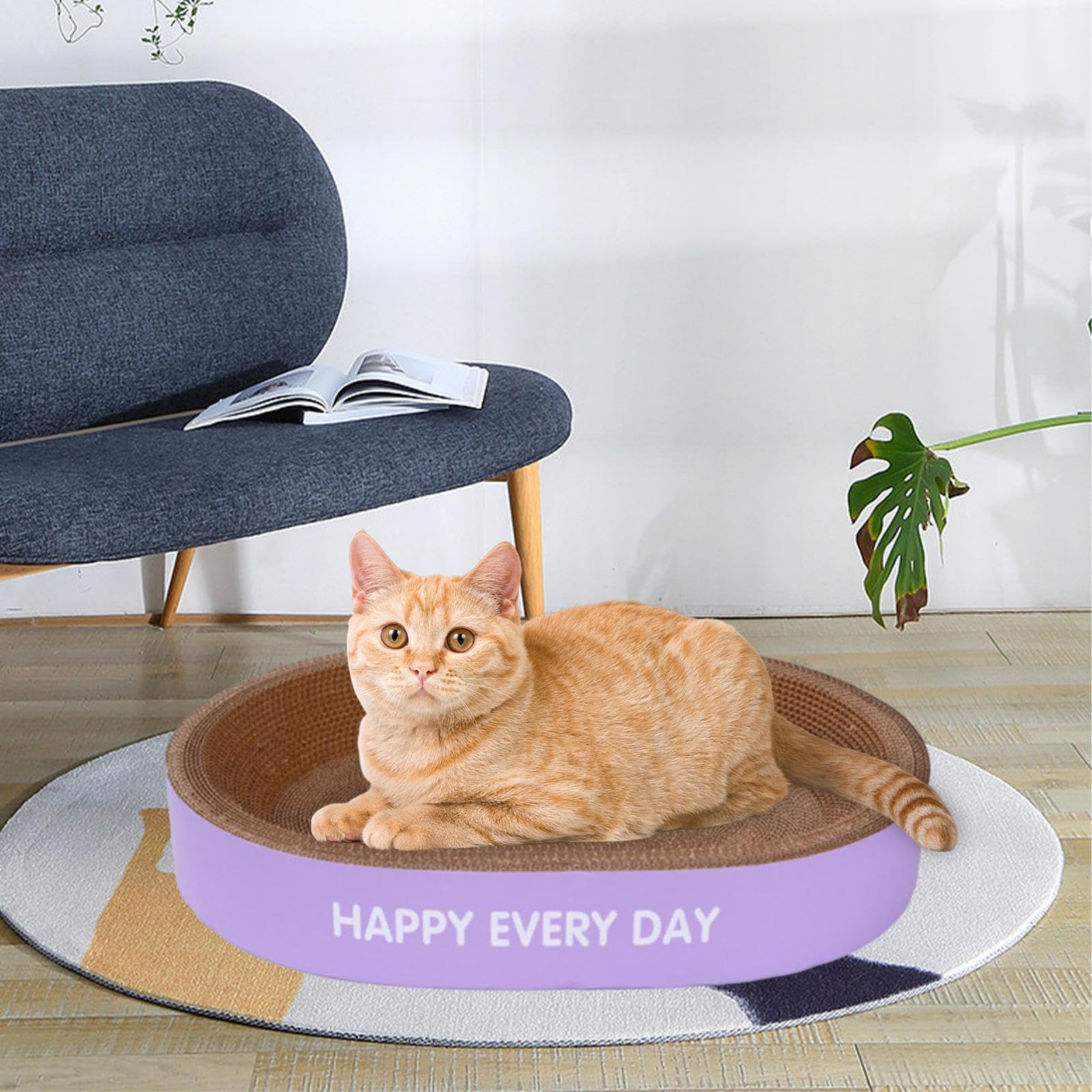 Tiragraffi per gatti, lettino, ciotola, nido, offre una soluzione | efficace ai danni ai mobili, garantendo al contempo la soddisfazione del gatto.