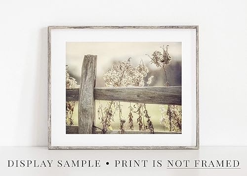 Miniatura 3 de LISA RUSSO FINE ART - Country Farmhouse Wall Decor Print - 8x10 Unframed - Golden Yellow Rustic Pasture Fence Landscape - Living Room or Kitchen