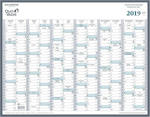 Calendrier 2023 55x40 Quo Vadis - 1 Calendrier Manager 12 Mois - 55 X 40 Cm - Jan. À Déc. 2019 :  Amazon.fr: Fournitures De Bureau