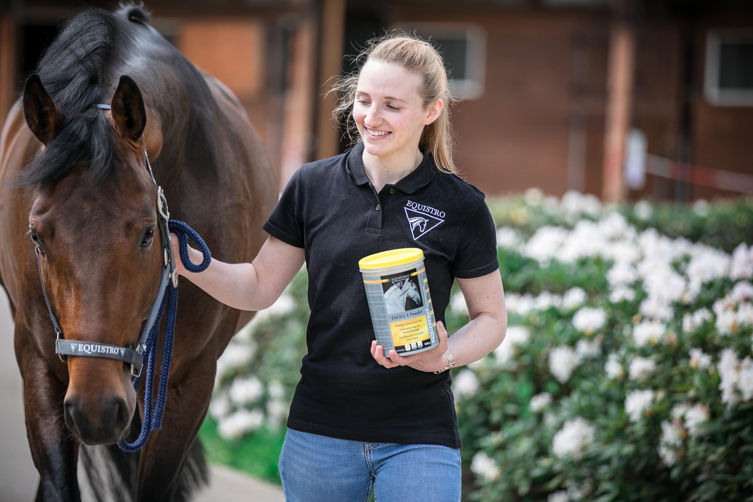 Equistro Excell E Powder For Horses (Tub Size: 1 kg Tub)
