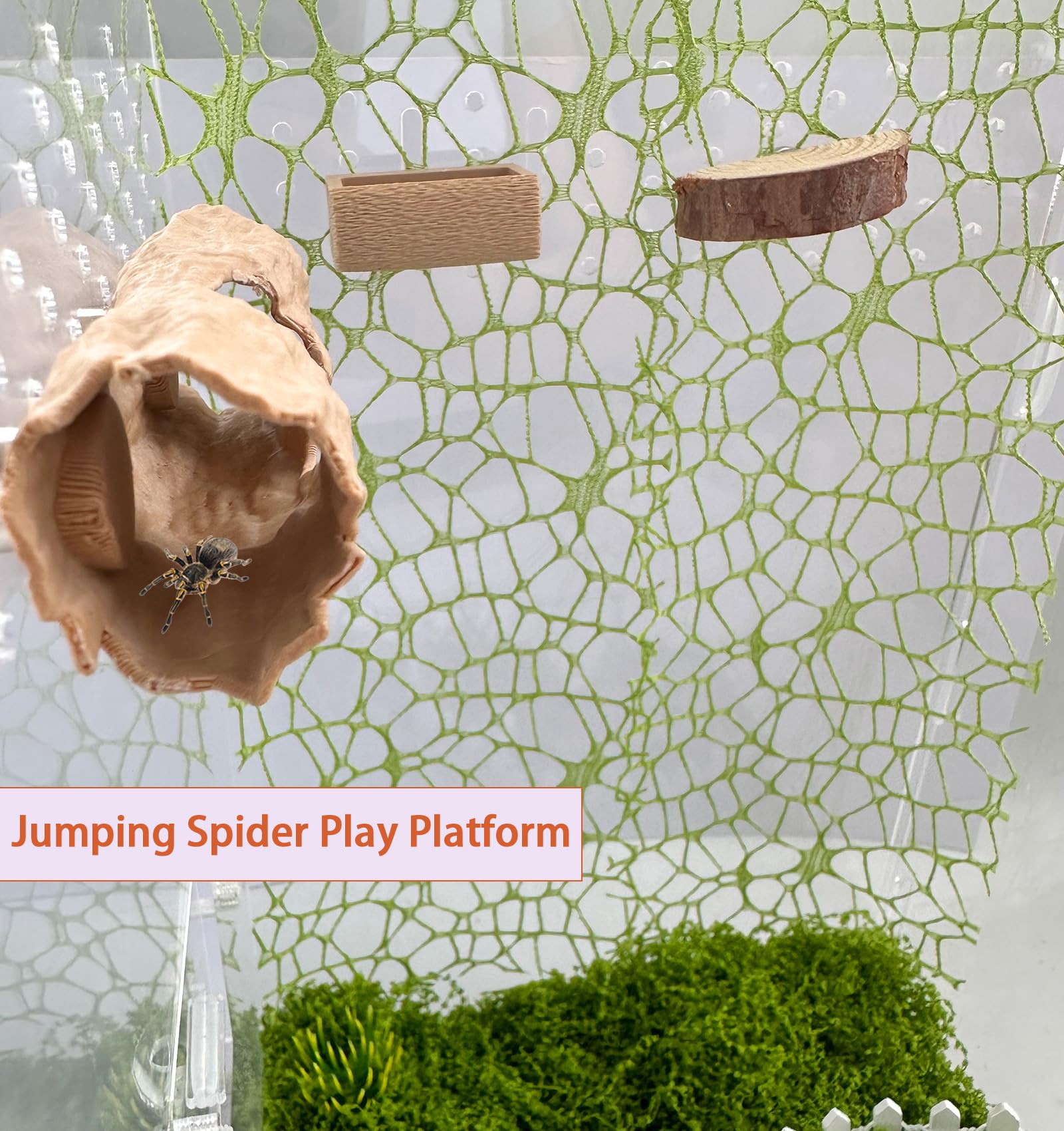 6Pcs Jumping Spider Accessories Set,Tree Jumping Spider Climbing Toy with Cave - Image 4