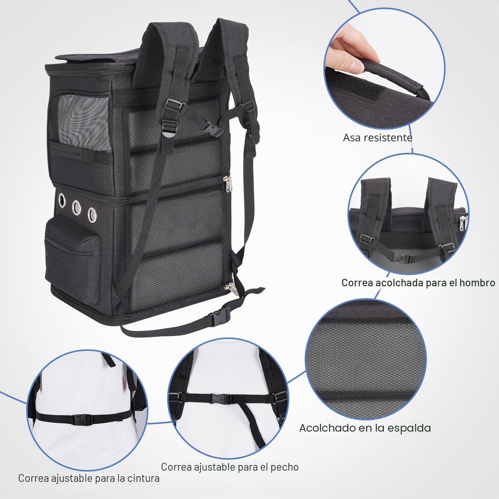 Mochila para 2 Gatos 2 en 1, Doble Compartimento con Divisor Extraíble, Transportín para Gato Grande hasta 12 kg, Portátil para Viajes y Paseos, Negro