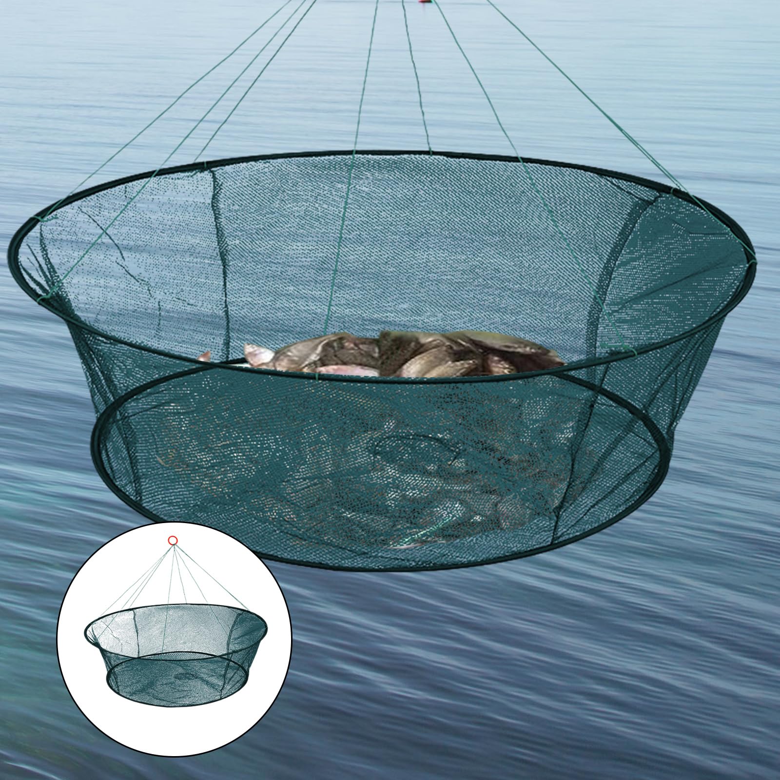 Angelkescher Faltbar 60x60 Cm - Vielseitig Für Fisch Und Garnelen