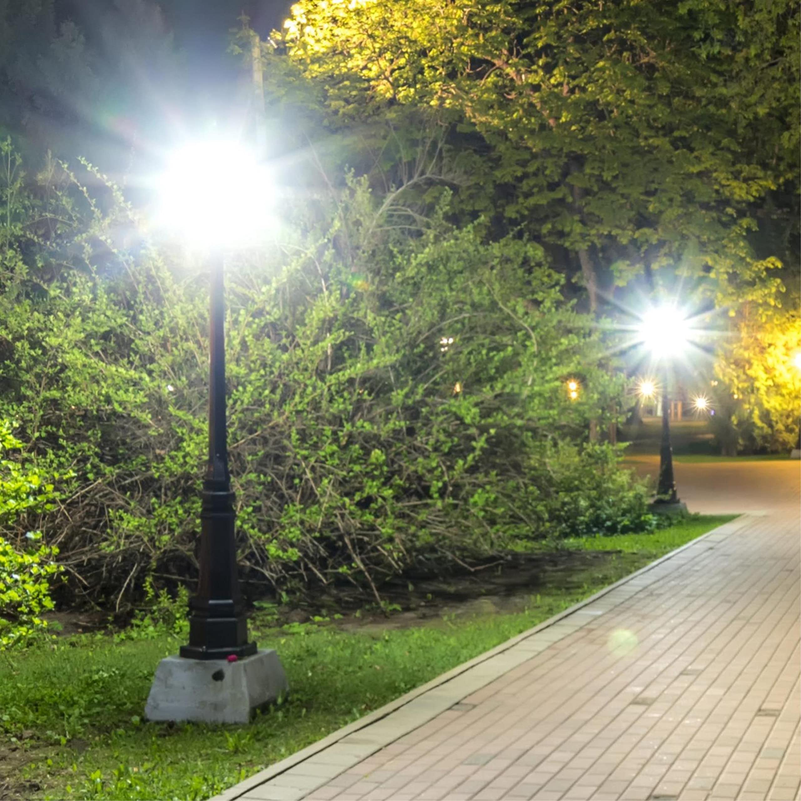 Westinghouse 5234120 36 Watt 200 Watt HID Equivalent ED28 Daylight High Lumen Filament LED Light Bulb Extended Mogul — view 6