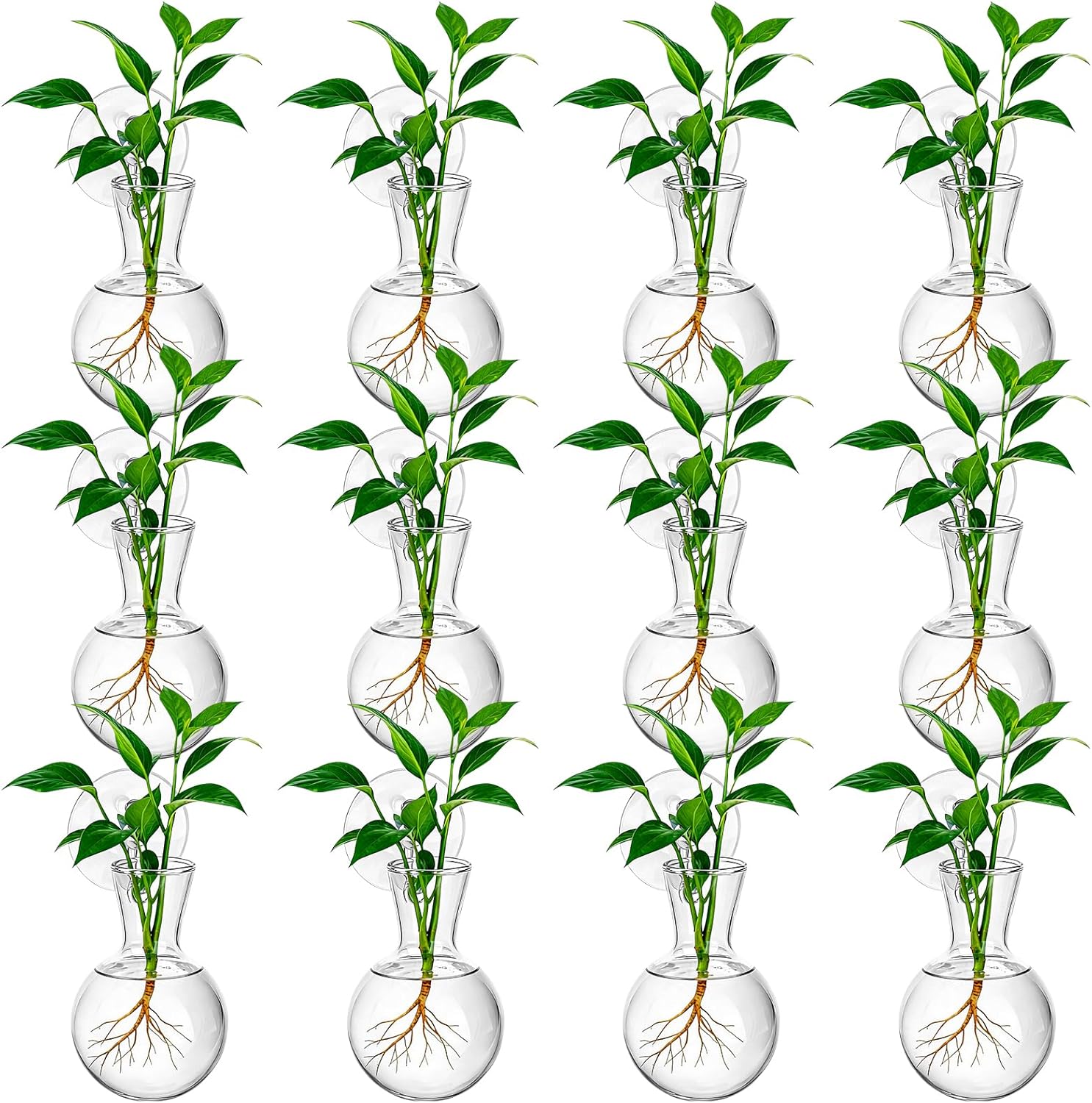 12Pcs Window Propagation Stations Bulb Glass Vases with Suckion Cups Hooks Hydroponics Plant Propagation Vases No Nails Wall Hanging Planter for Water Plant Propagation Rooting Cuttings