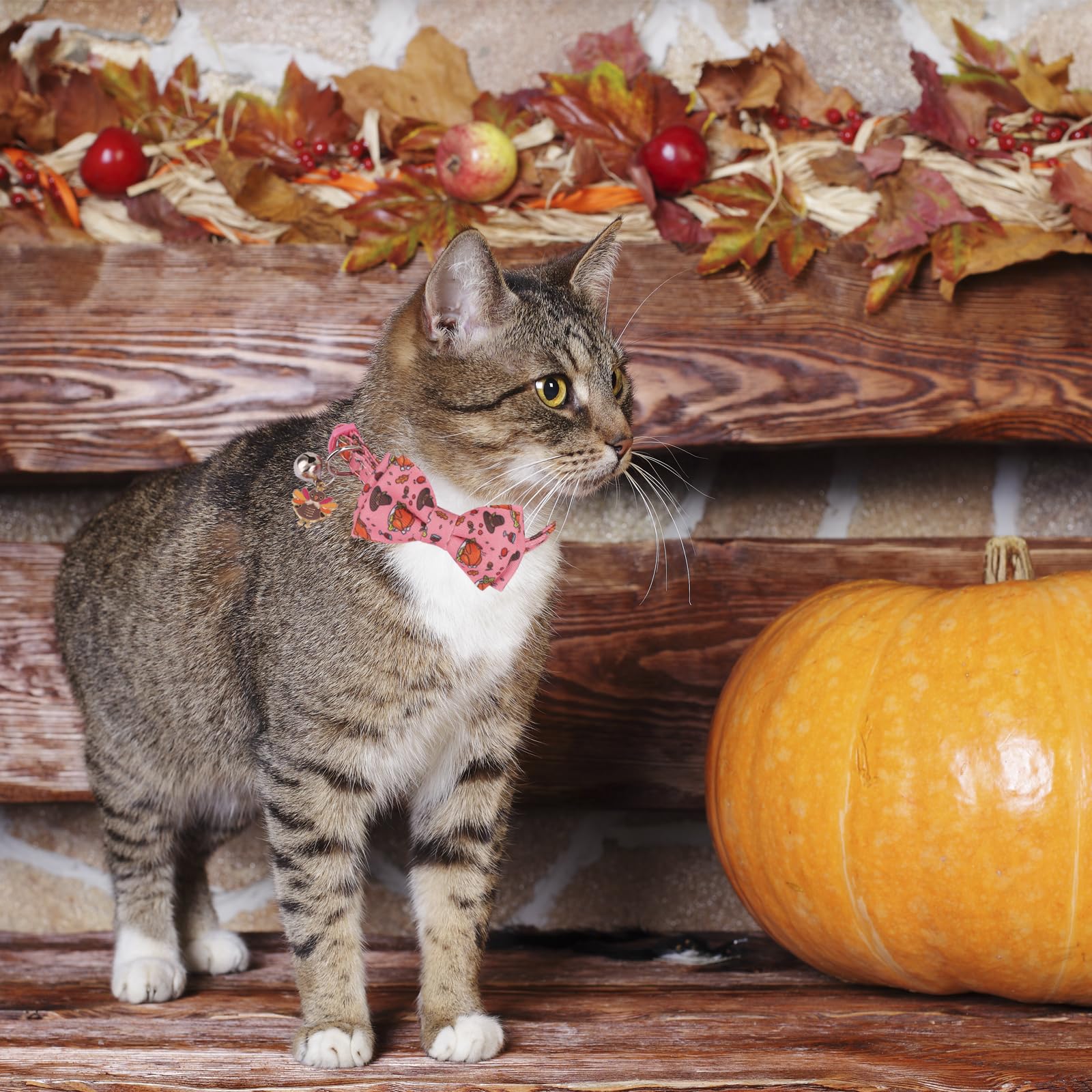 PTDECOR Collar de gato de Acción de Gracias con pajarita, campana, pavos y calabazas, collar bandana para gato, collares de pajarita para gatos y gatitos (Acción de Gracias)
