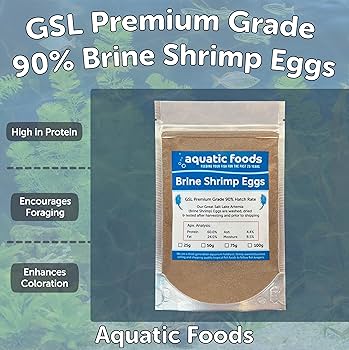 brine eggs様注文専用(他のお客様はご遠慮ください) Amazon.com : Aquatic Foods Inc. Brine Shrimp Eggs Premium