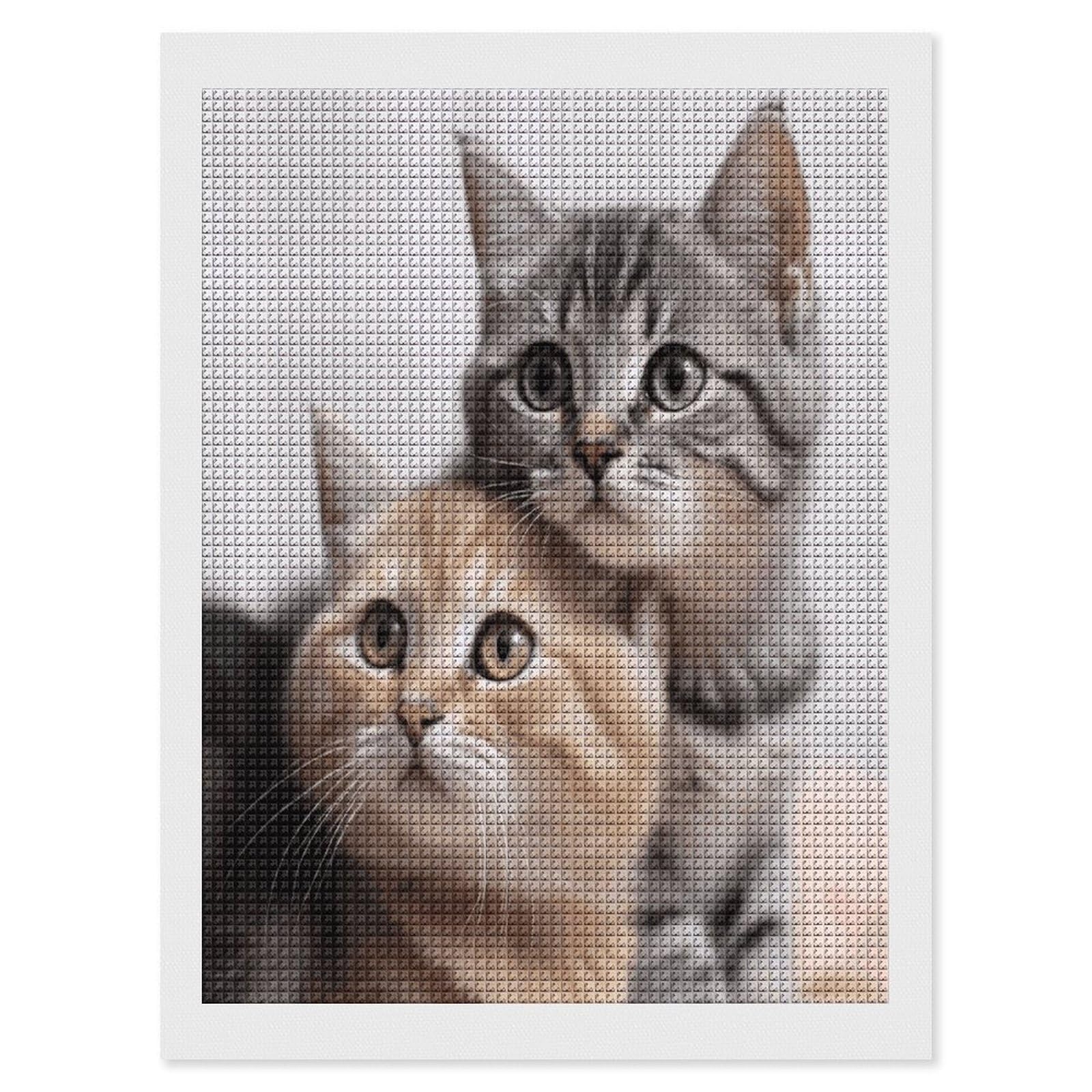FodPand Cats Diamond Painting Kit for Beginner Fun 5D DIY Crafts for Adults Diamond Art Kits Square Diamond Art Canvas Painting Gem Art Crafts for Home Wall Decor 12"x16"