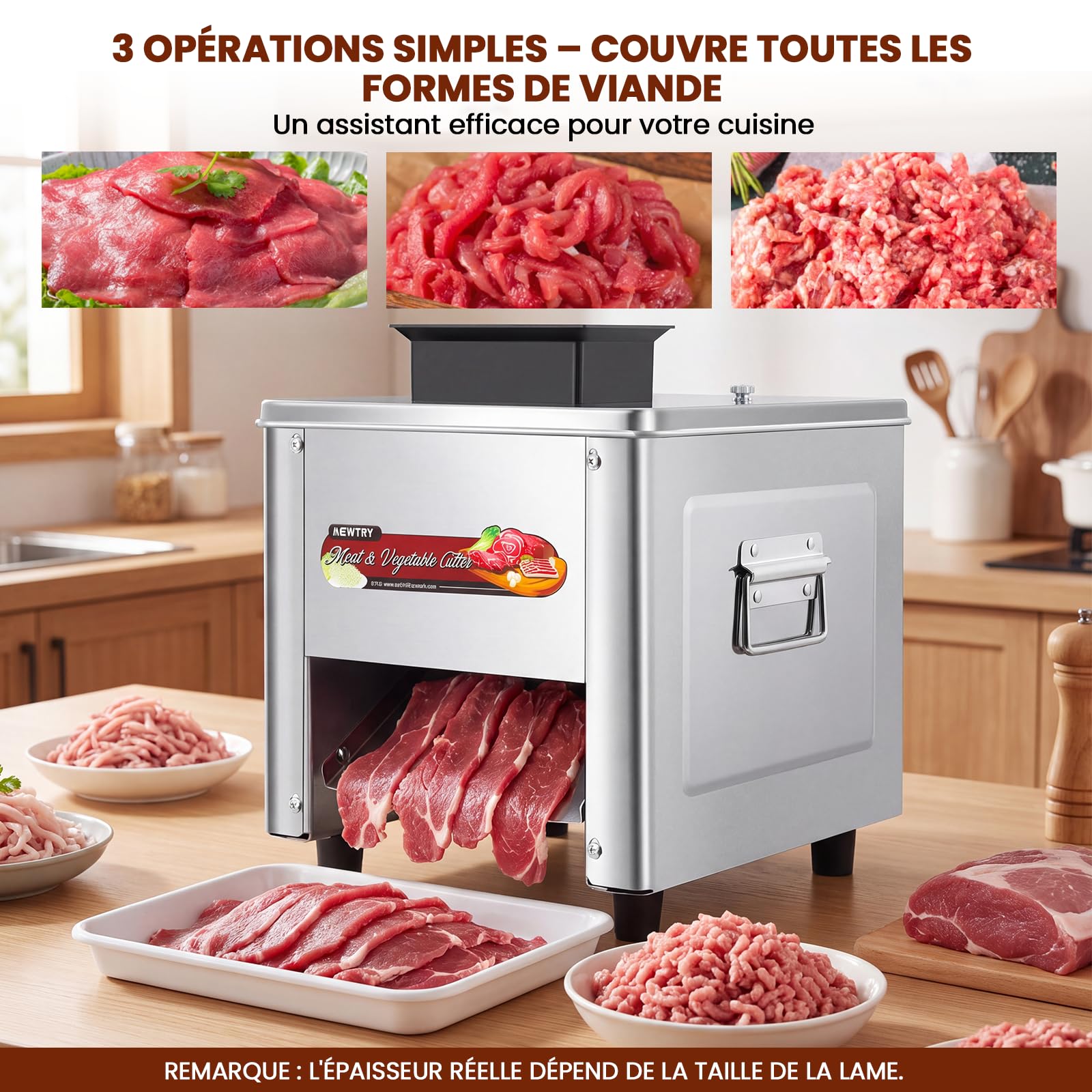 NEWTRY Trancheuse viande électrique commerciale 5mm 750W Gastro | Acier inoxydable, lames interchangeables, moteur puissant, facile à nettoyer, trancheuse pour boucheries et restaurants