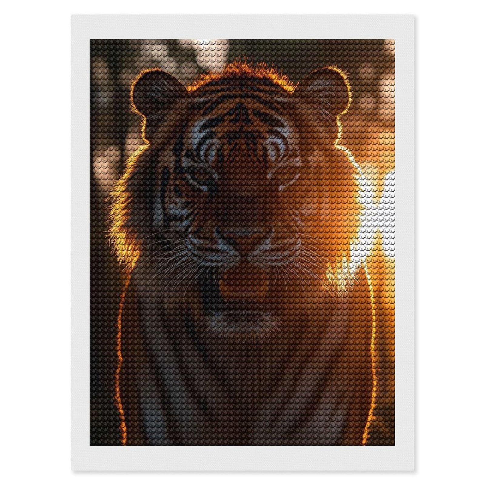 Junmoney Tiger Portrait in Golden Light Diamond Painting Canvas Set 12"x16", Satisfying Creative Project, Easy to Follow Symbols, Fun Craft Experience